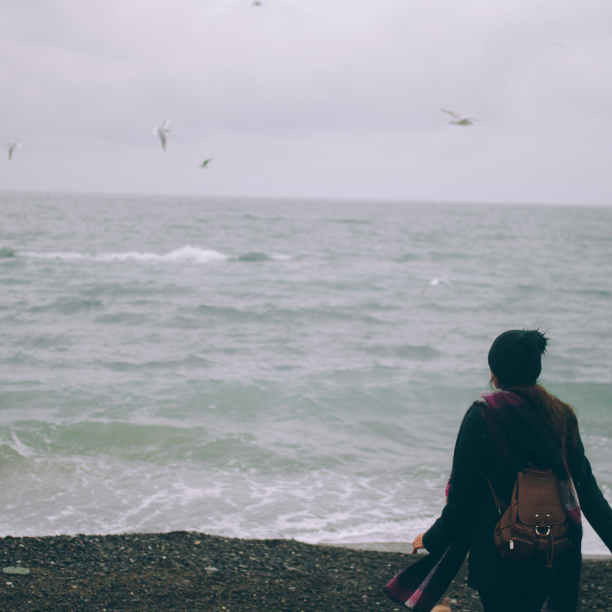 Сочи (декабрь 2017)