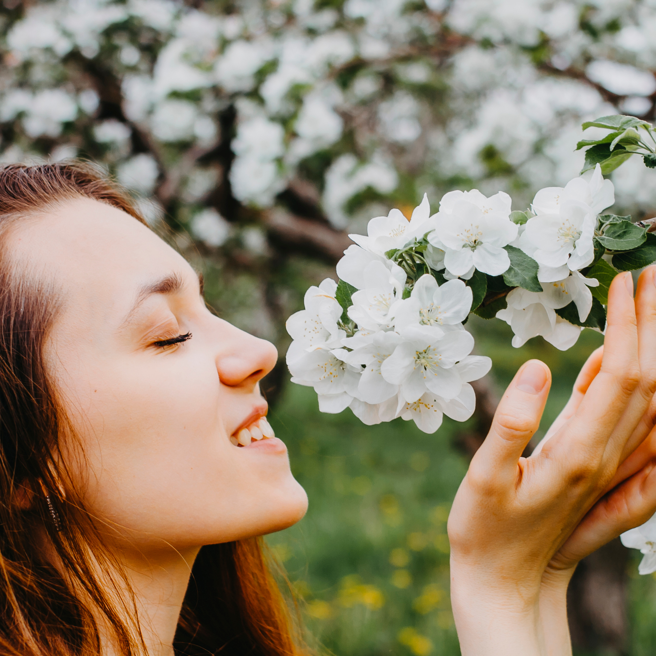 Хвалынские яблоневые сады (май 2019)