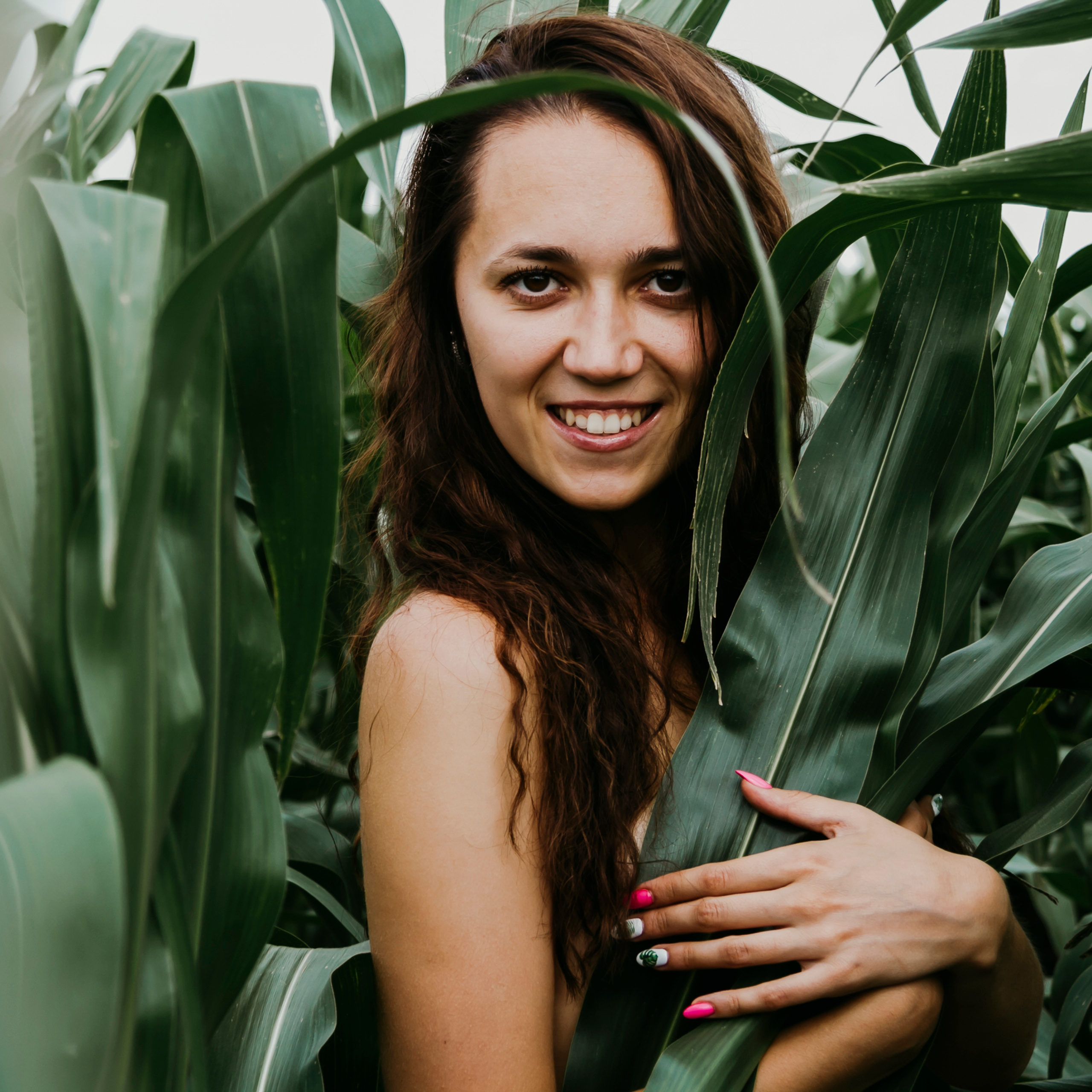 Кукурузные поля (август 2019)