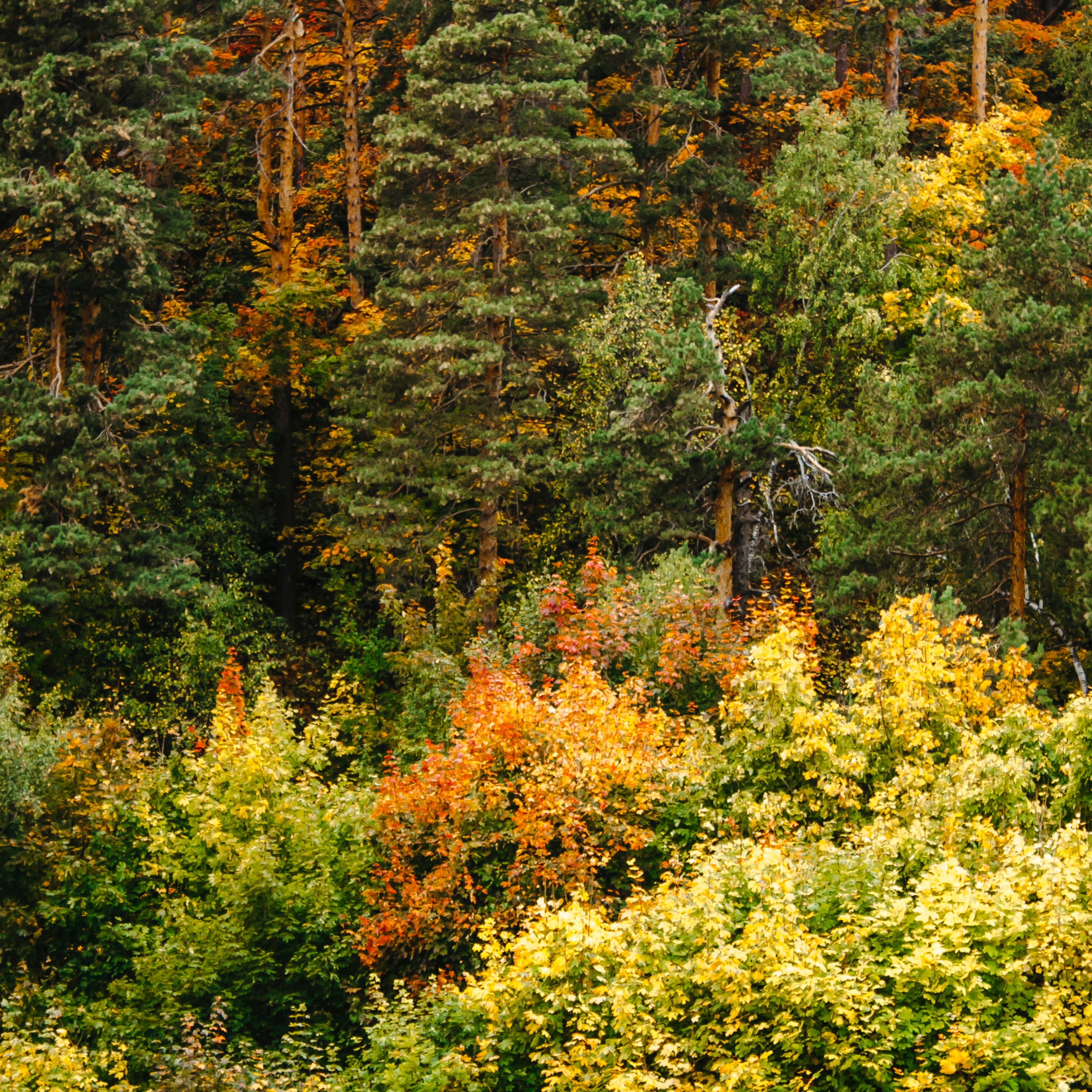 Хвалынский меловой карьер (сентябрь 2019)
