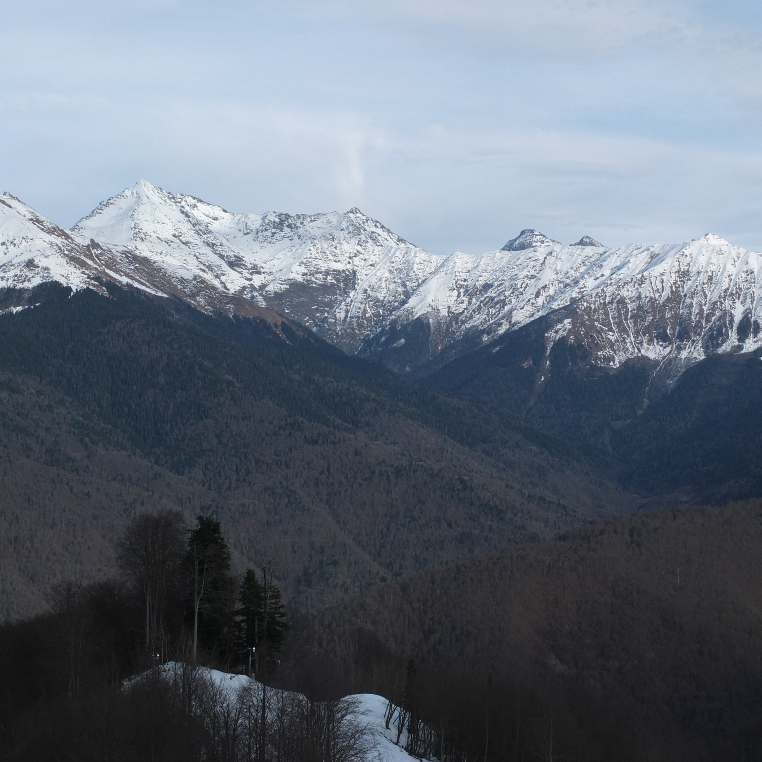 Сочи (декабрь 2017)