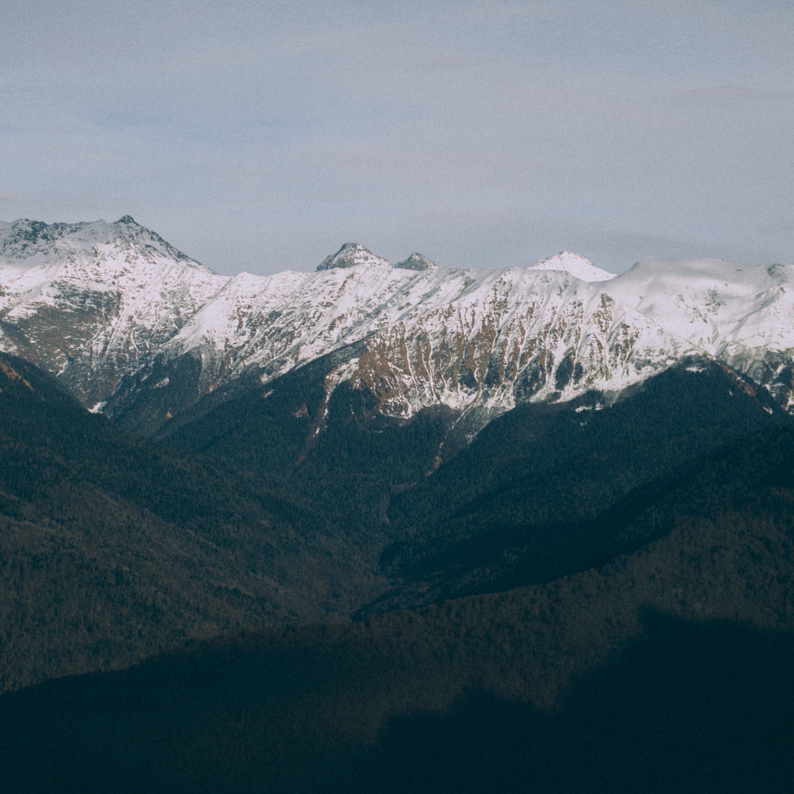 Сочи (декабрь 2017)