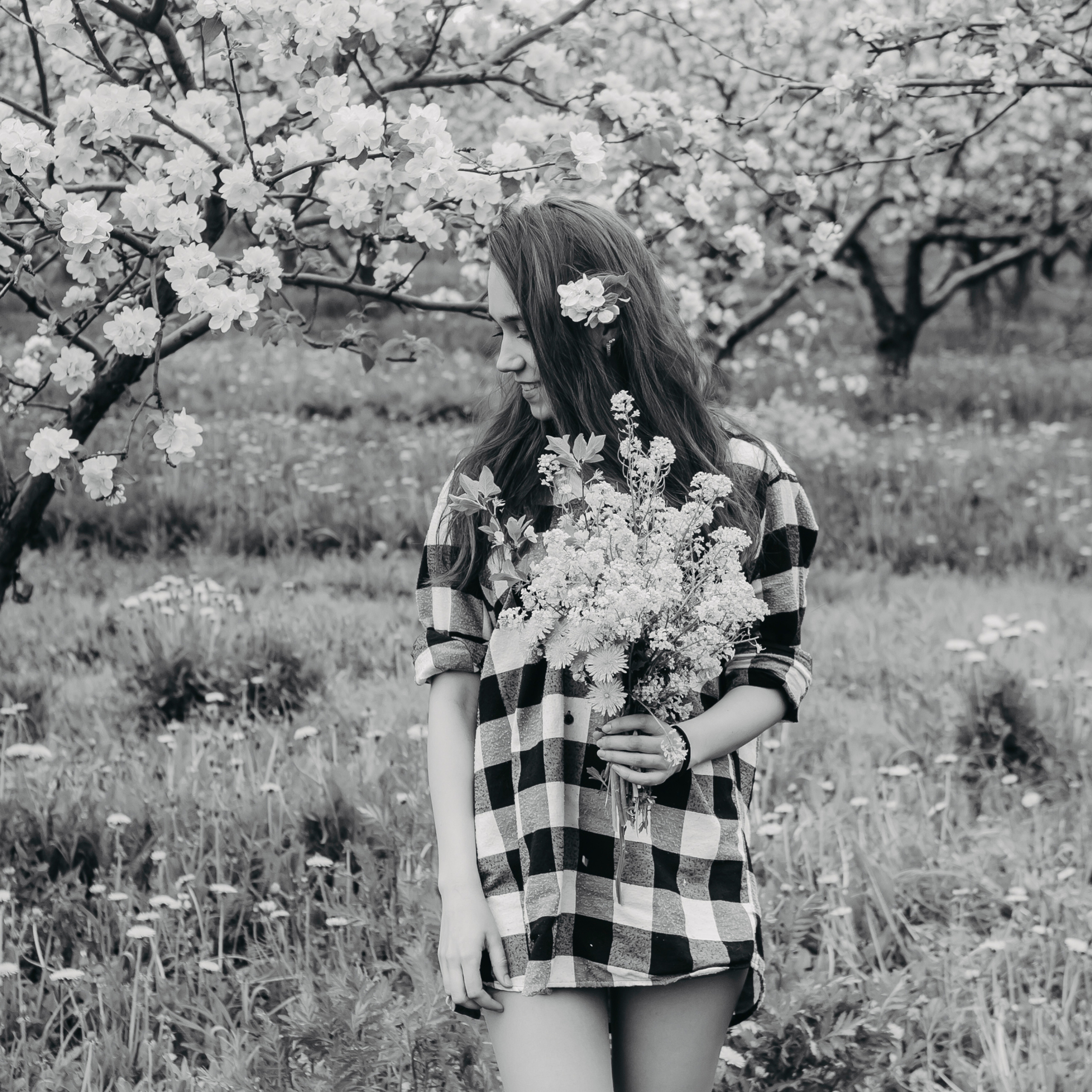 Хвалынские яблоневые сады (май 2019)