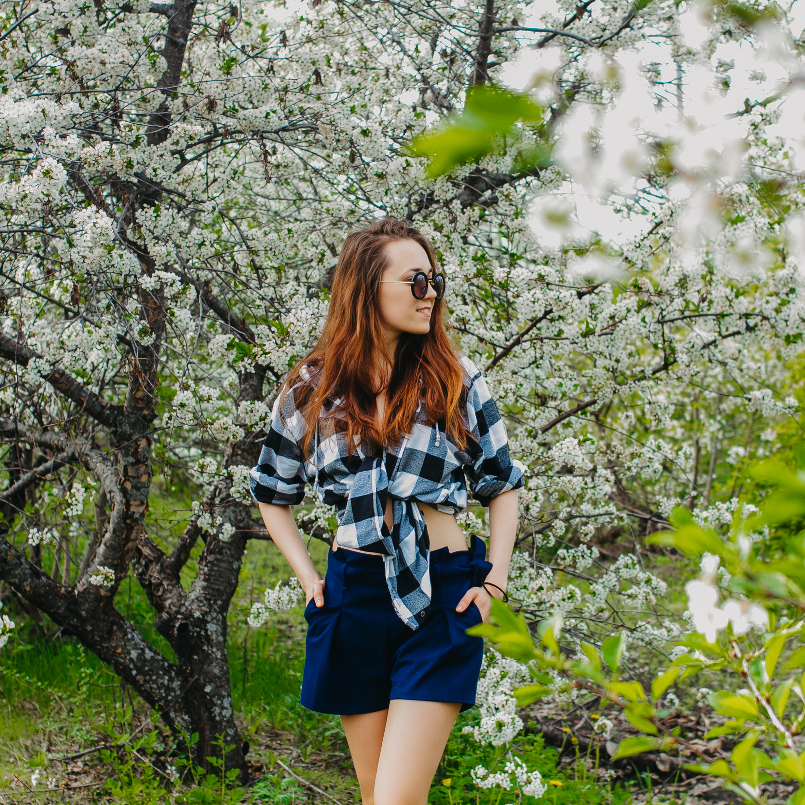 Хвалынские яблоневые сады (май 2019)