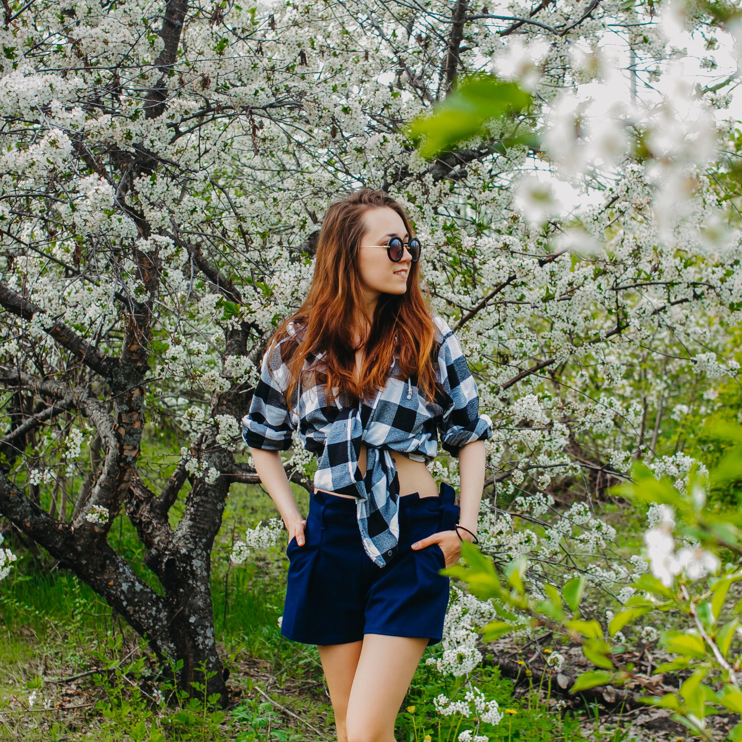 Хвалынские яблоневые сады (май 2019)