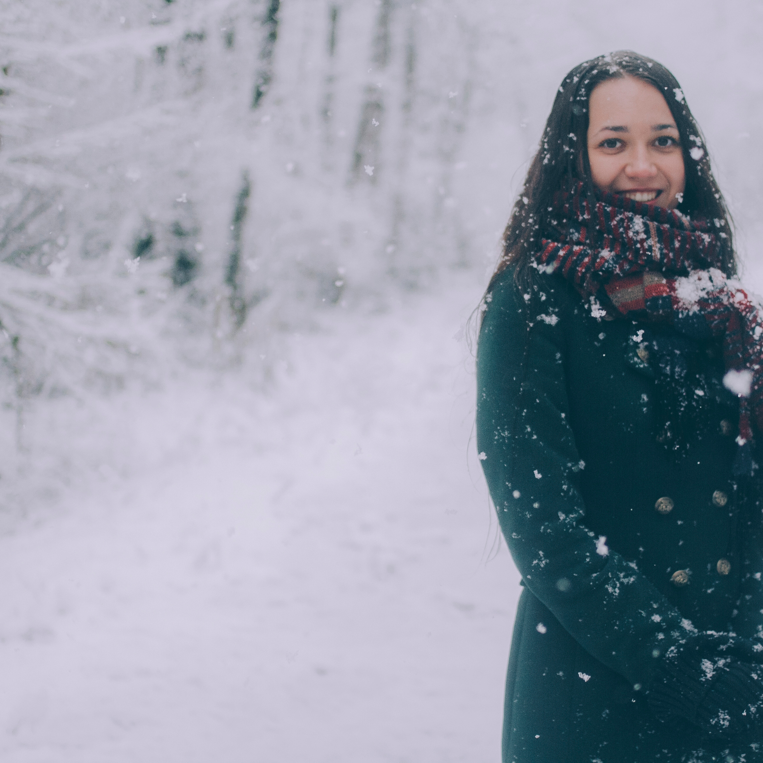 Сочи (декабрь 2017)