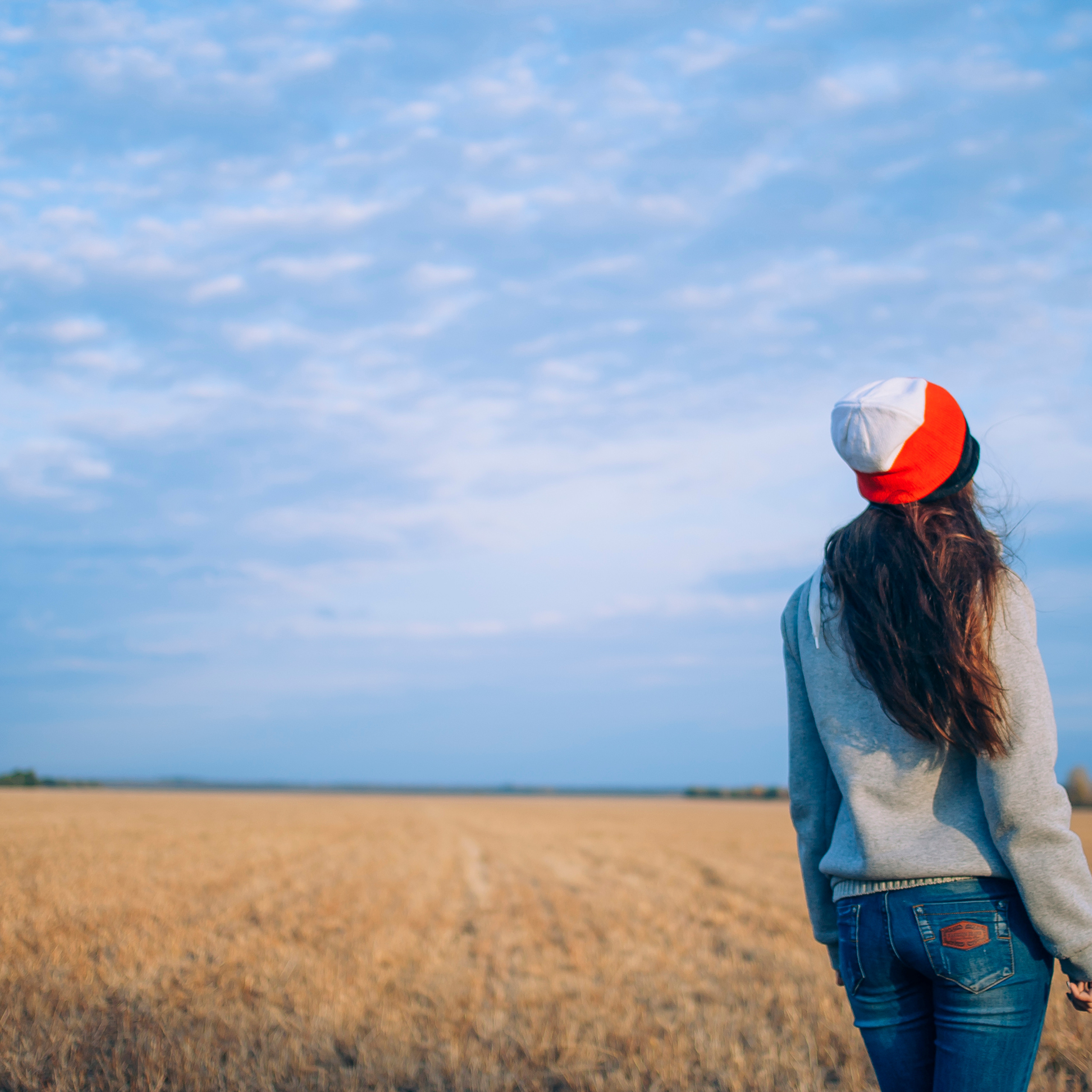 Поле у АЭС Балаково (октябрь 2018)