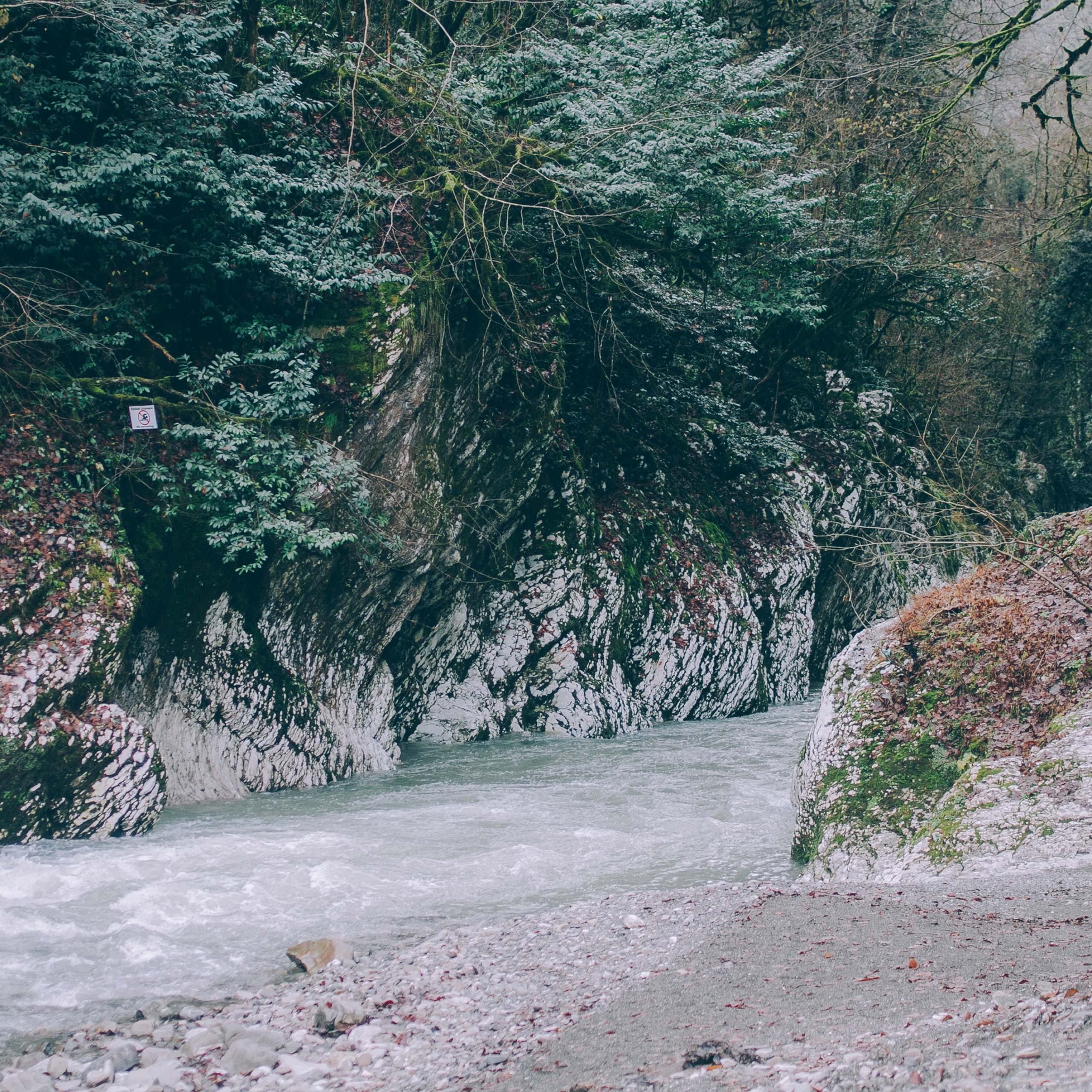 Сочи (декабрь 2017)