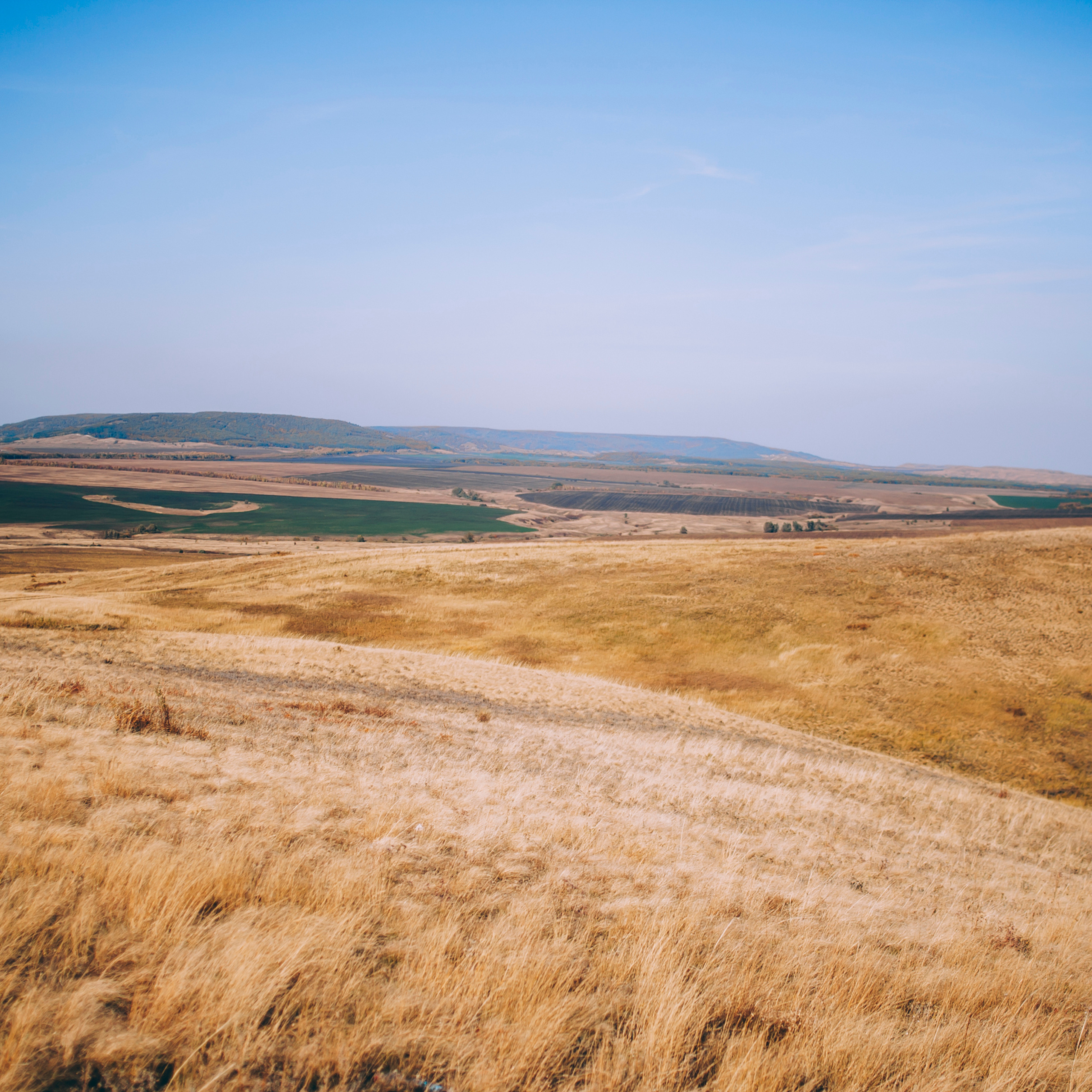 Поле у АЭС Балаково (октябрь 2018)