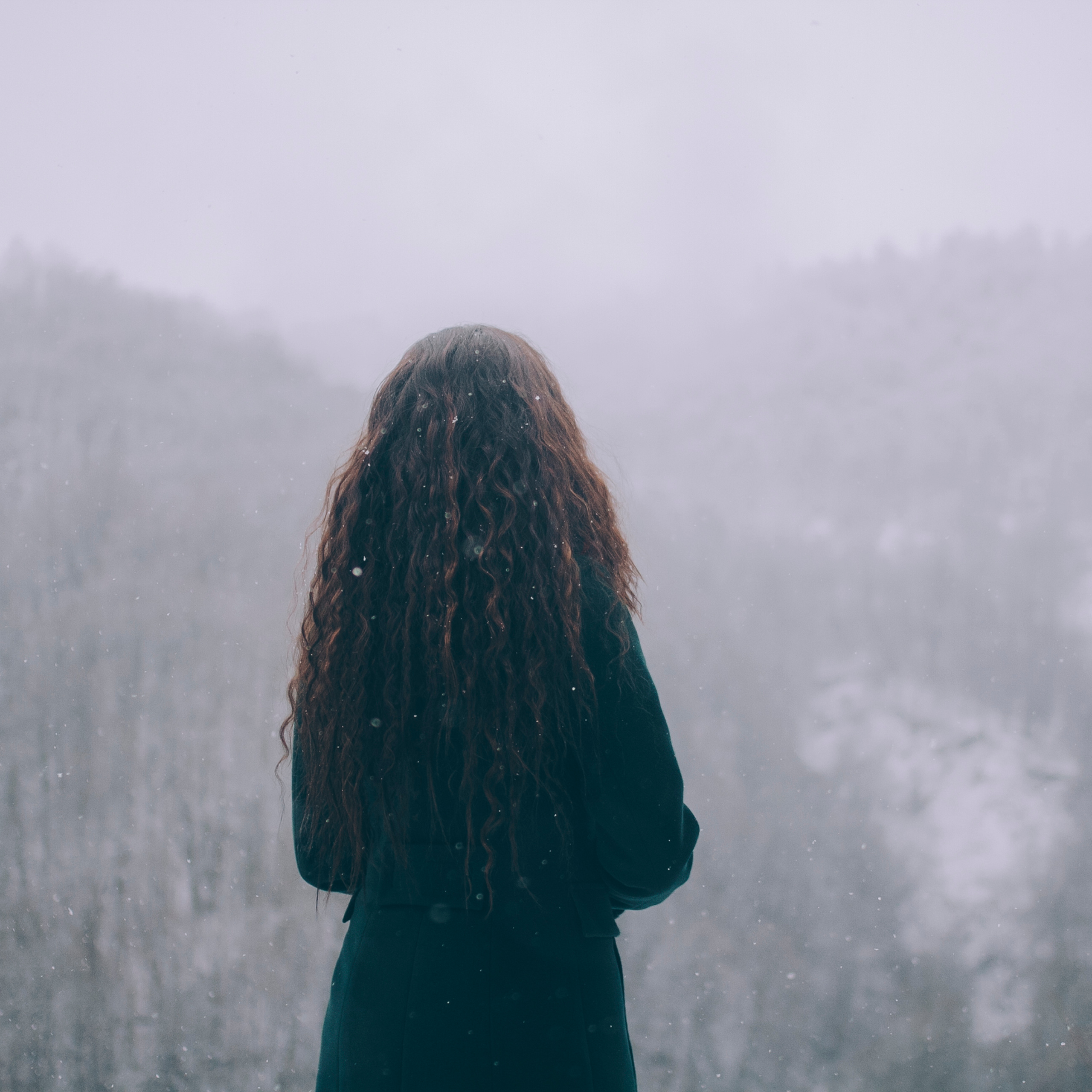 Сочи (декабрь 2017)