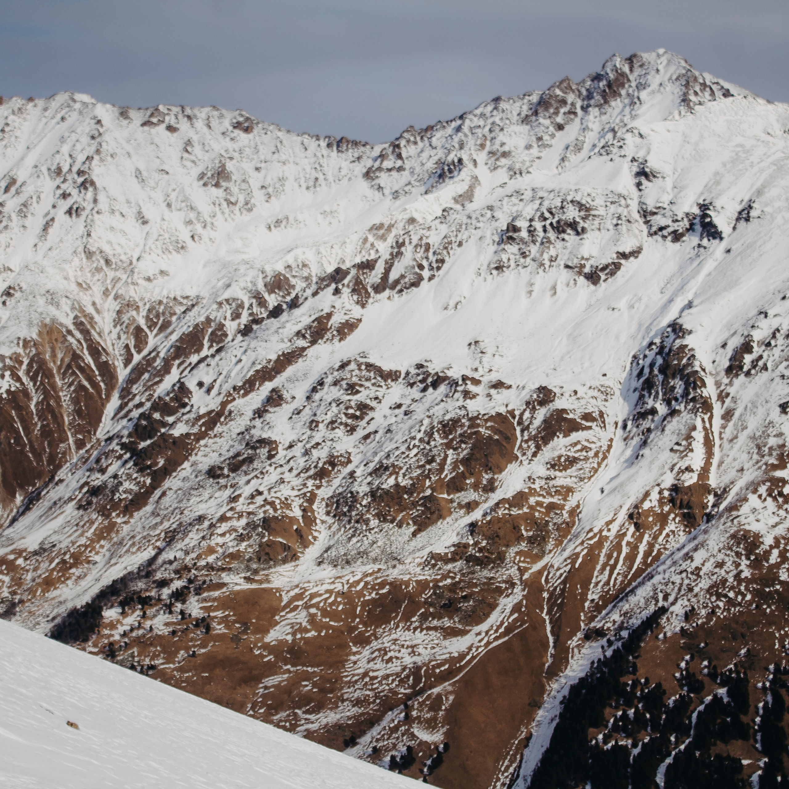 Мин воды (Новый год 2020)