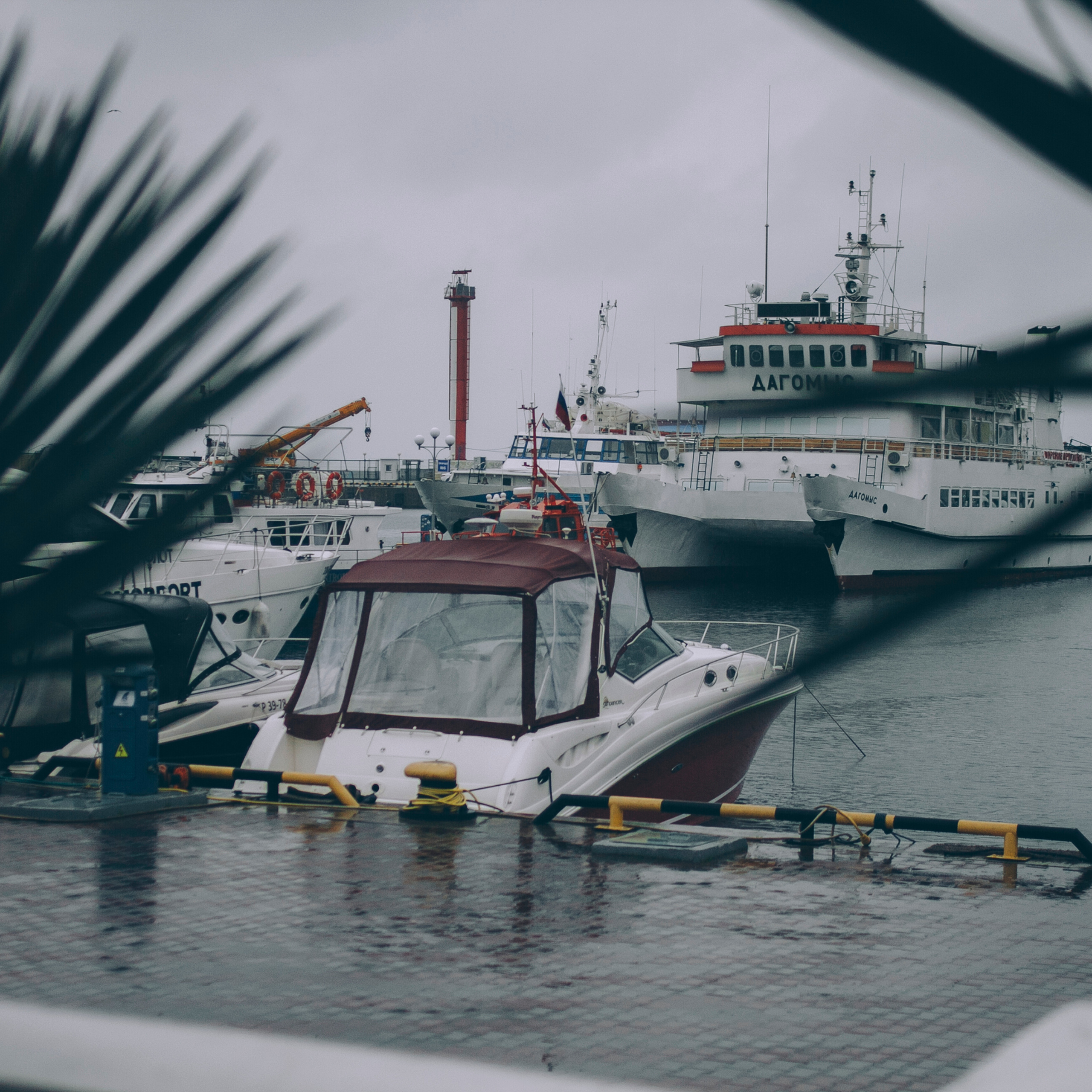 Сочи (декабрь 2017)