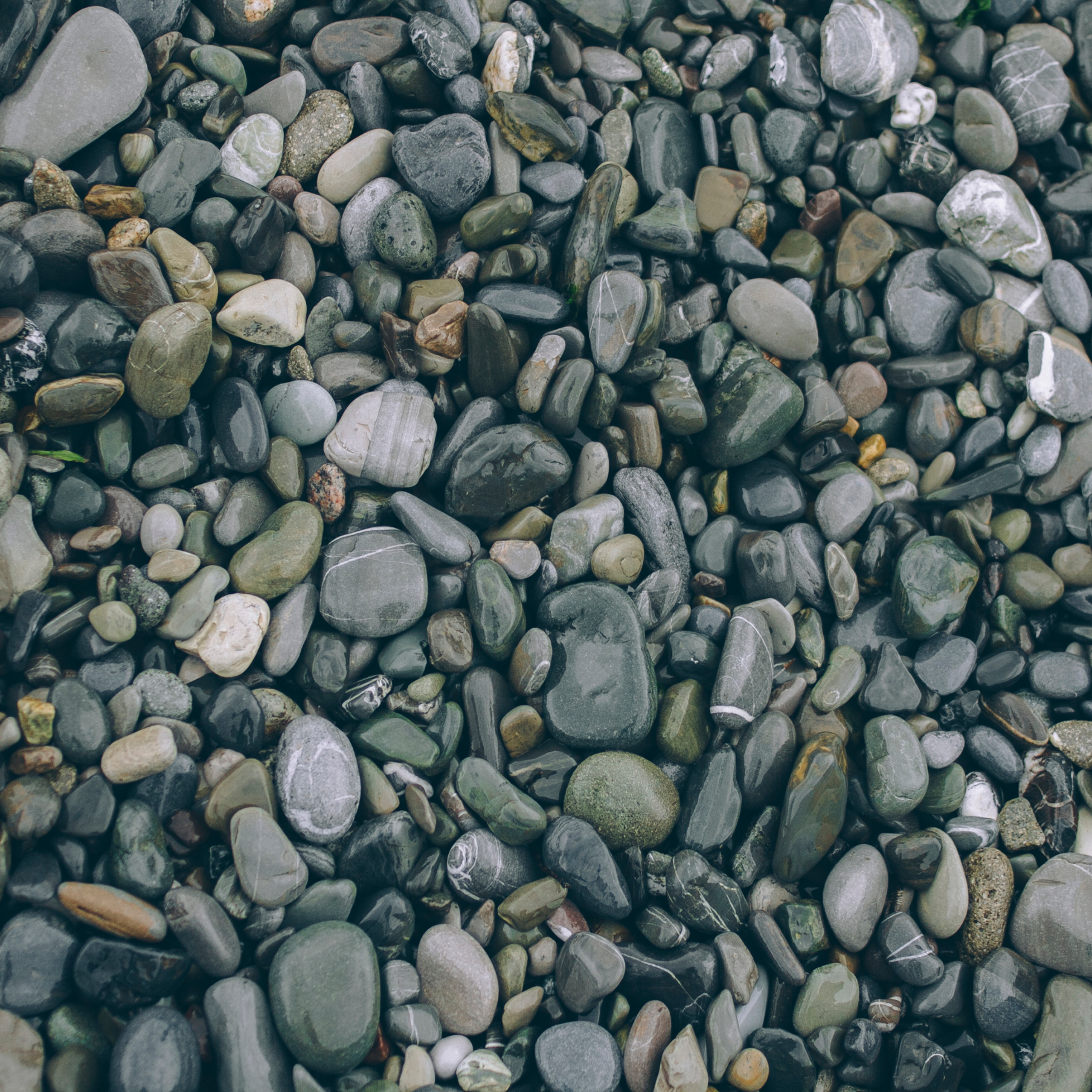 Сочи (декабрь 2017)