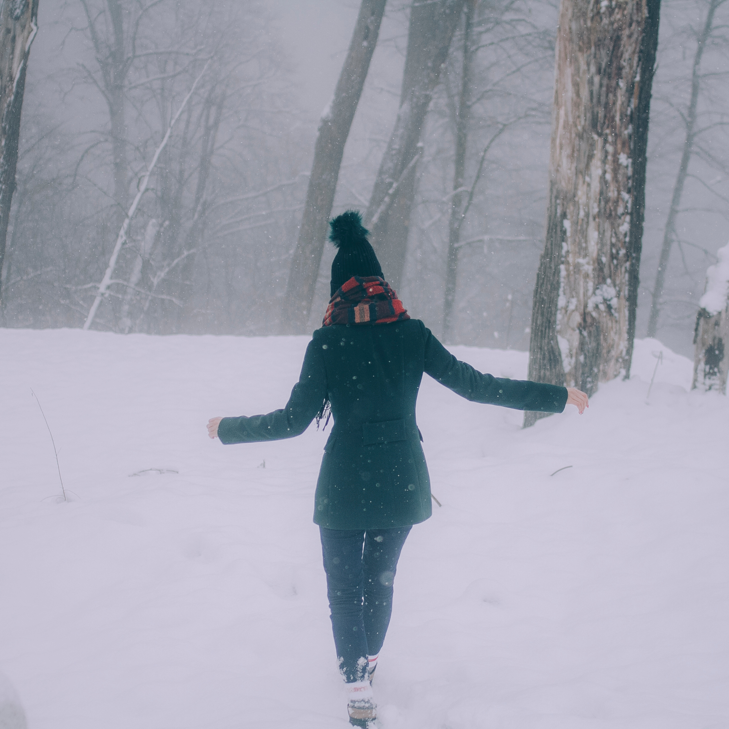 Сочи (декабрь 2017)