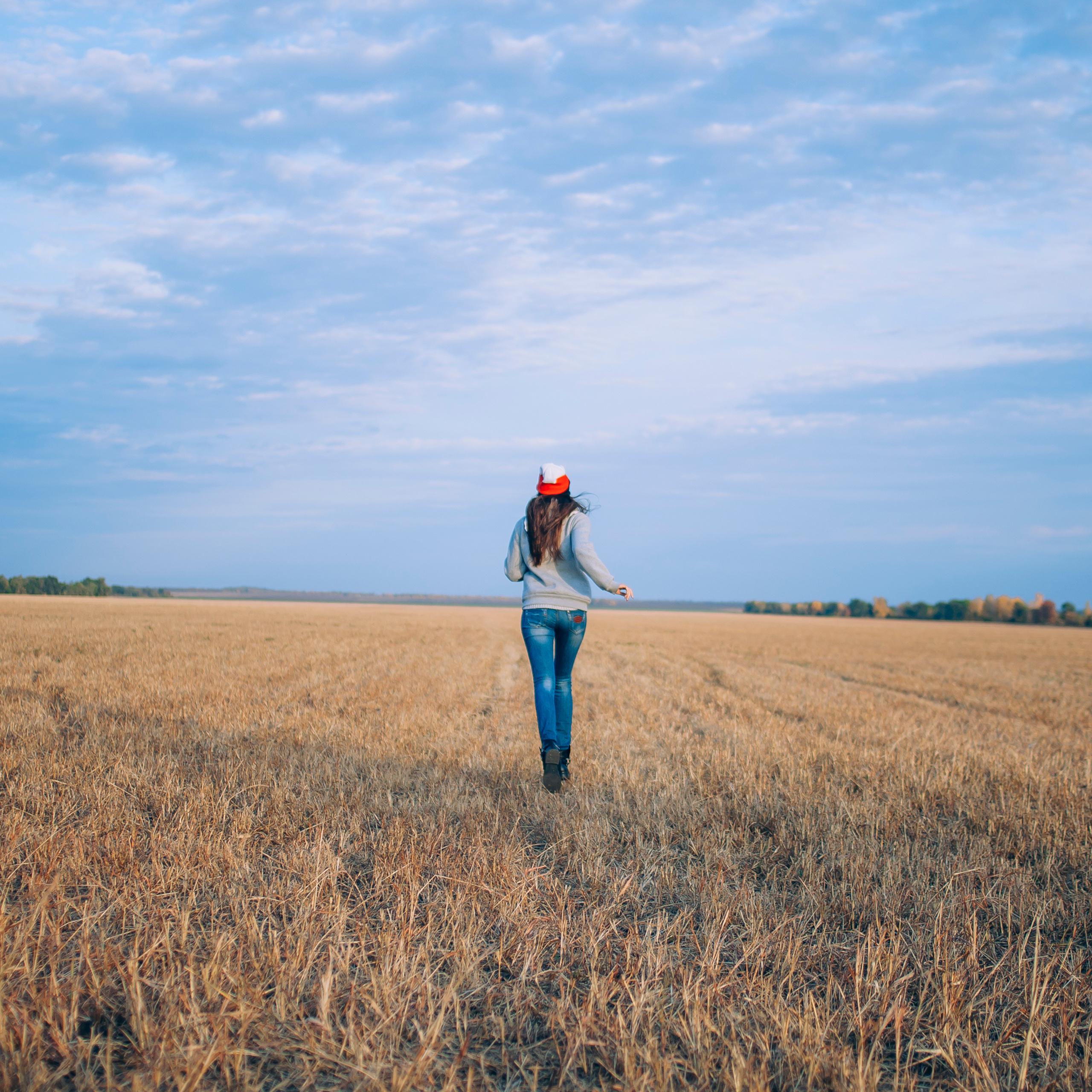 Поле у АЭС Балаково (октябрь 2018)