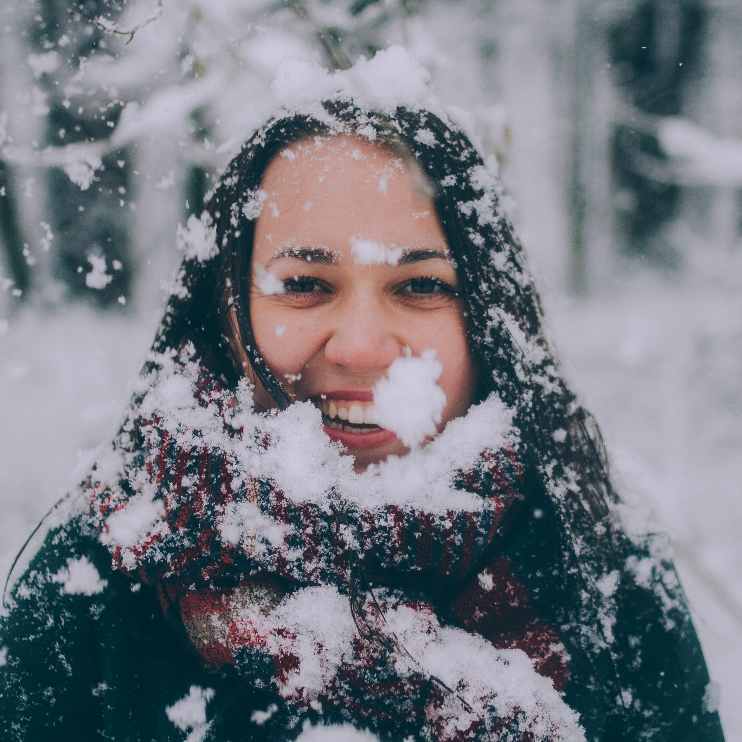 Сочи (декабрь 2017)