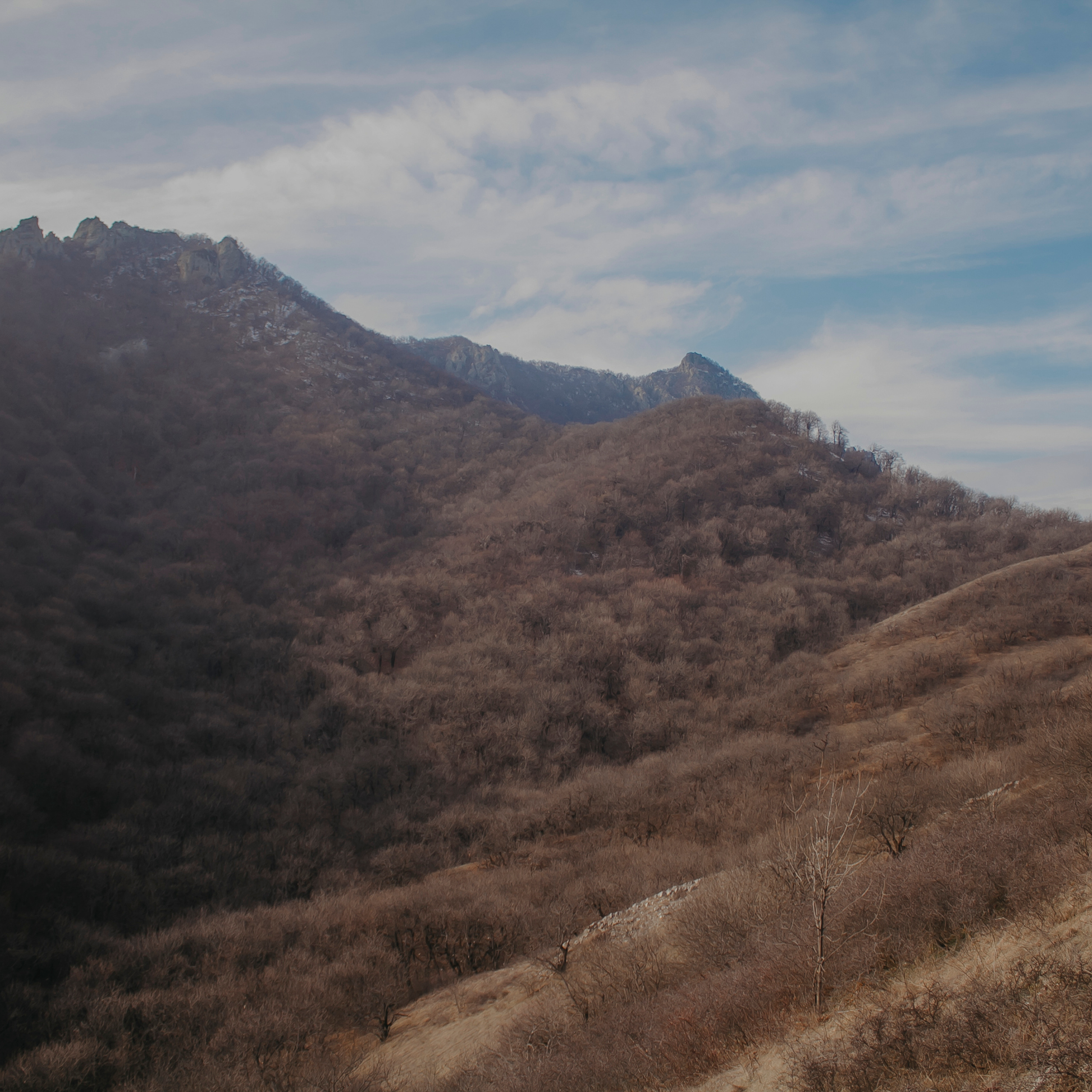 Мин воды (Новый год 2020)