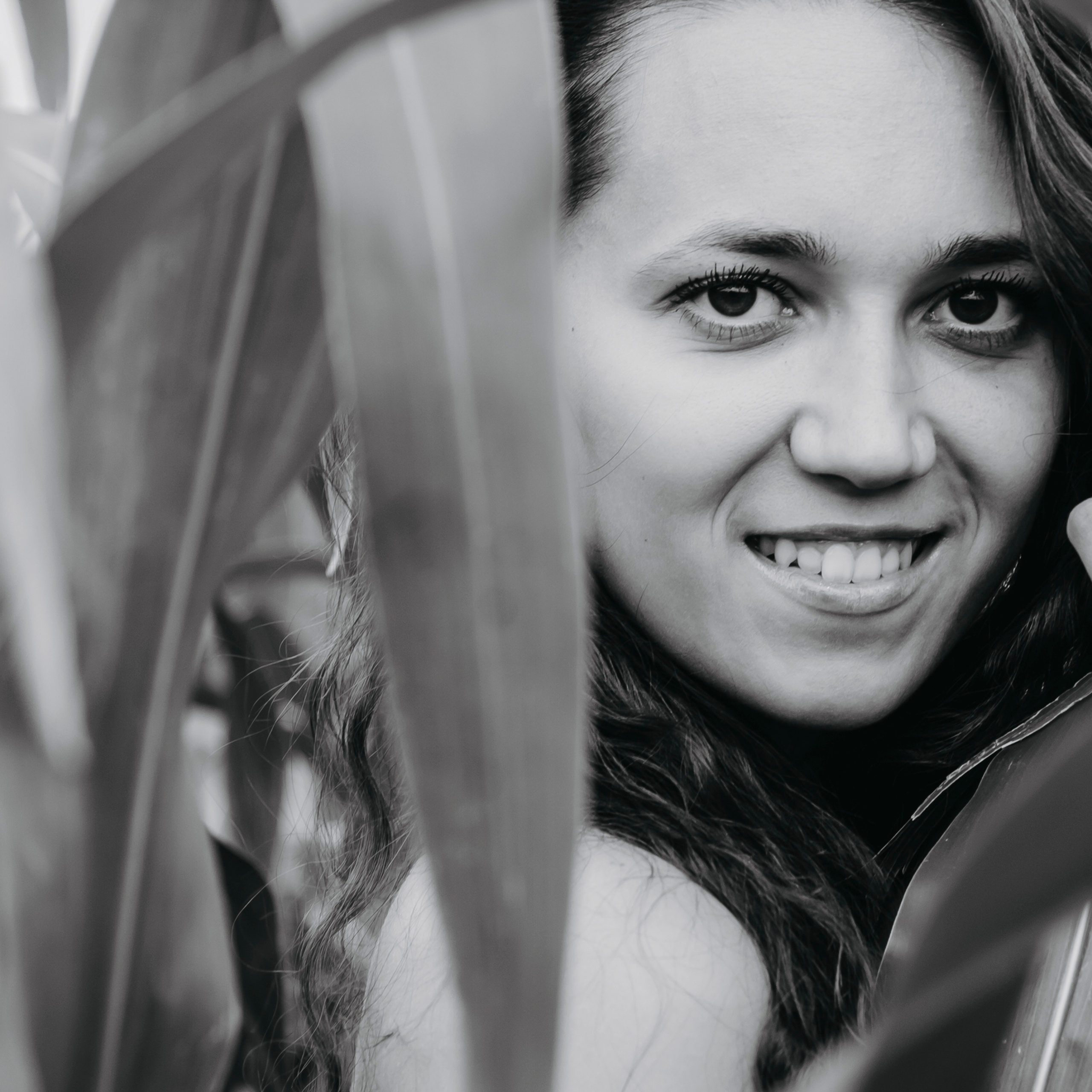 Кукурузные поля (август 2019)