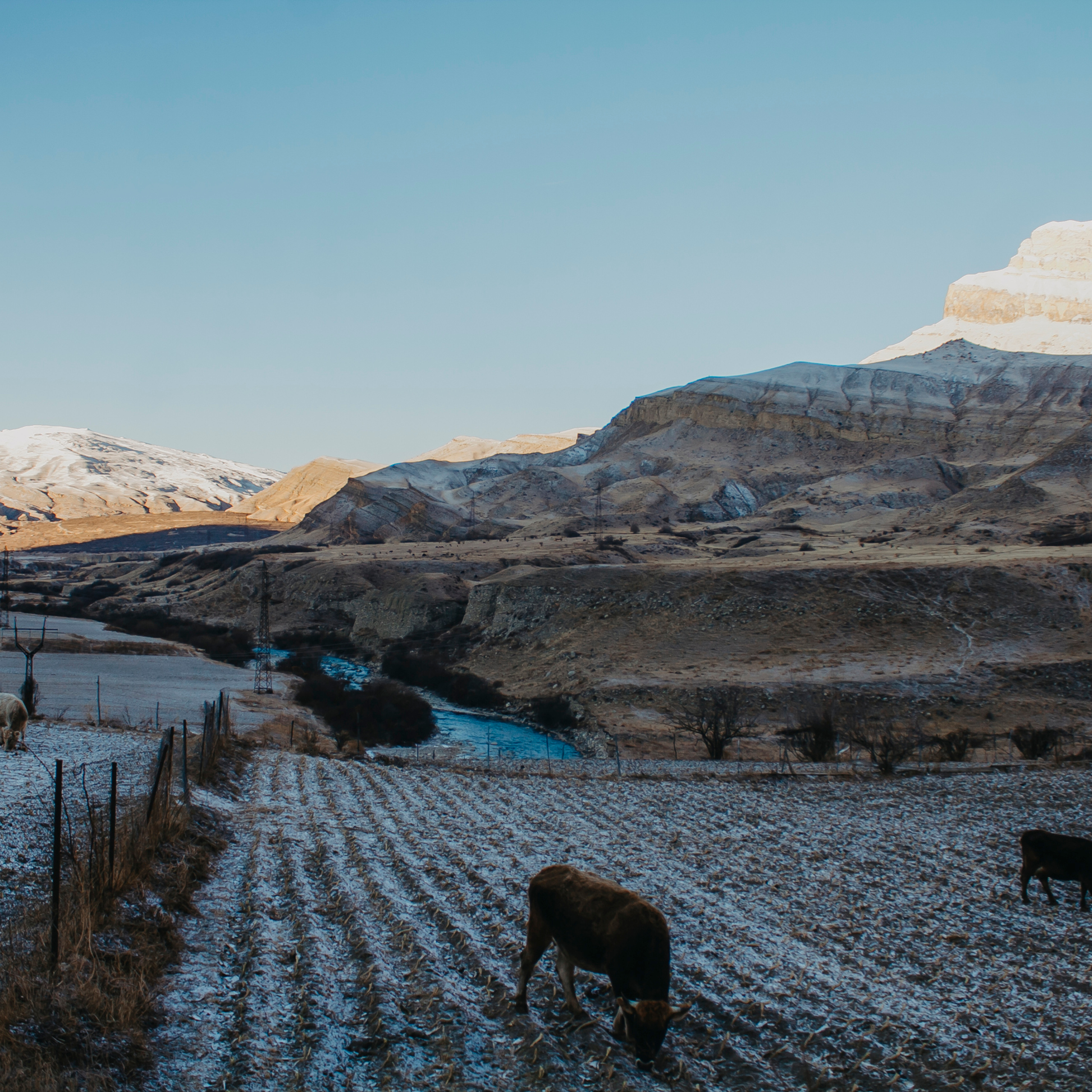 Мин воды (Новый год 2020)
