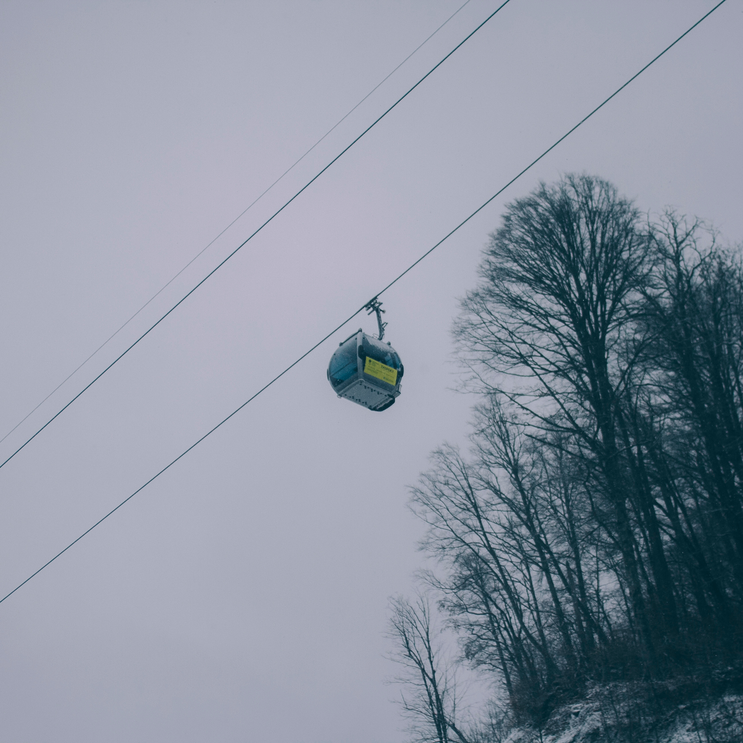 Сочи (декабрь 2017)