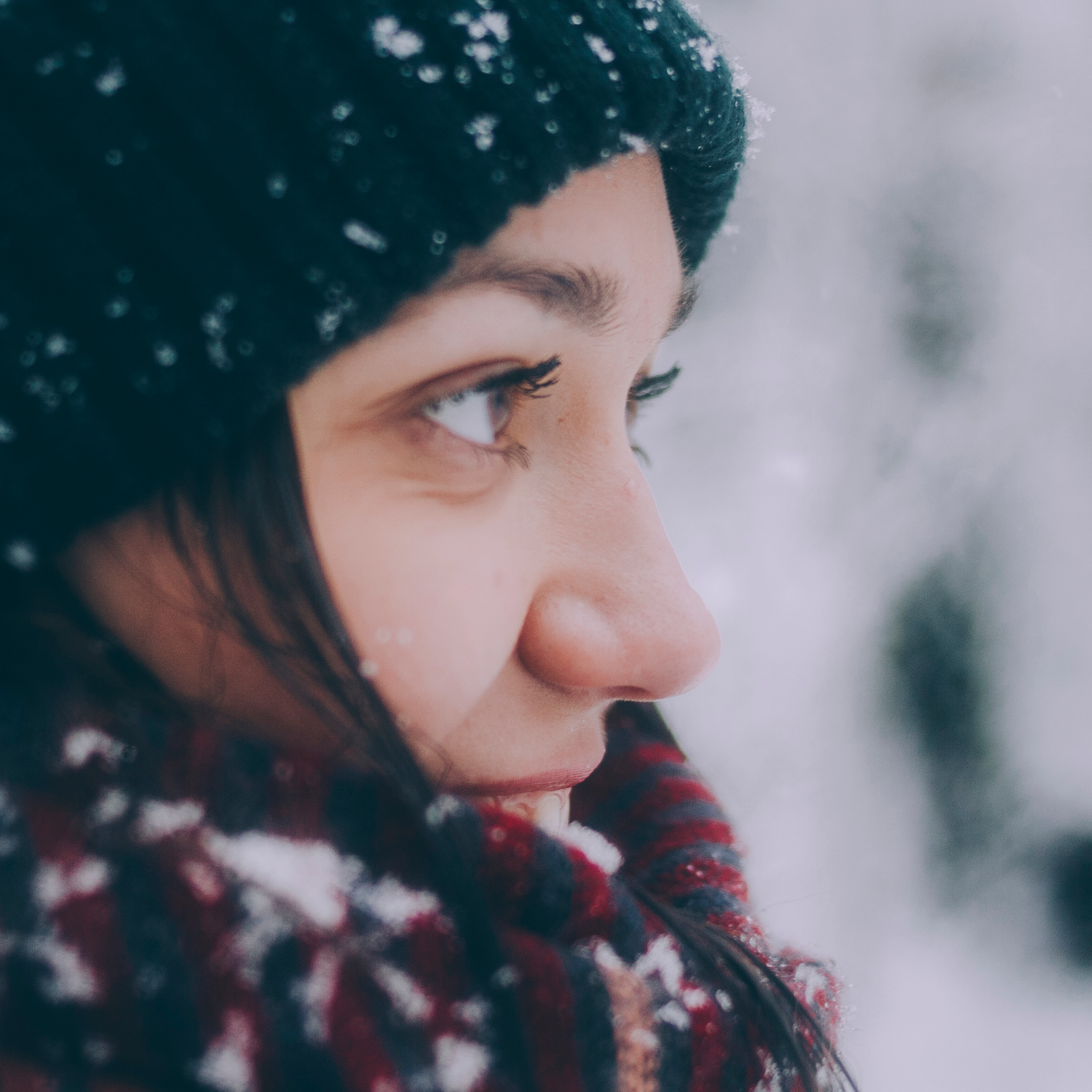 Сочи (декабрь 2017)