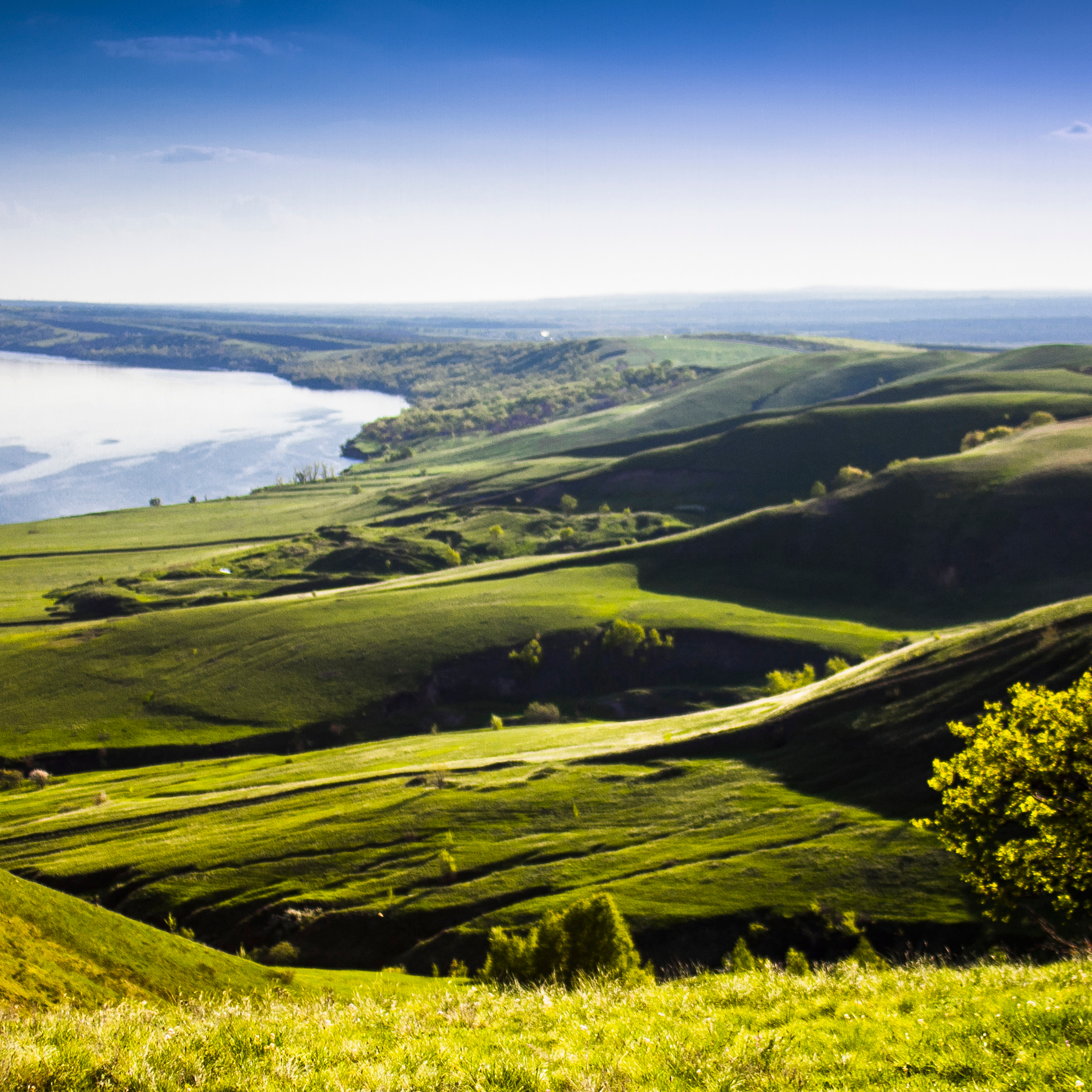 Гора Меровка (июль 2019)