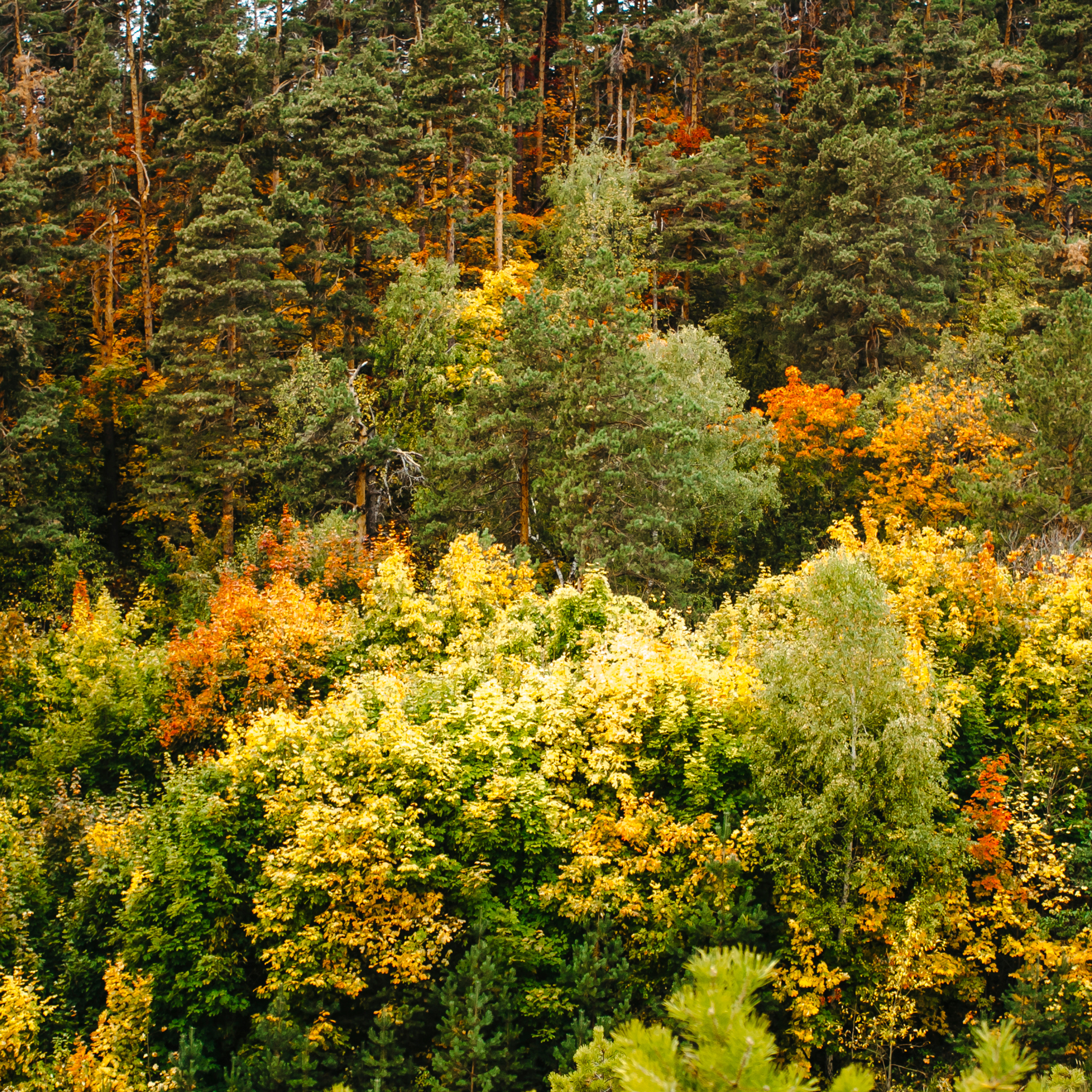 Хвалынский меловой карьер (сентябрь 2019)