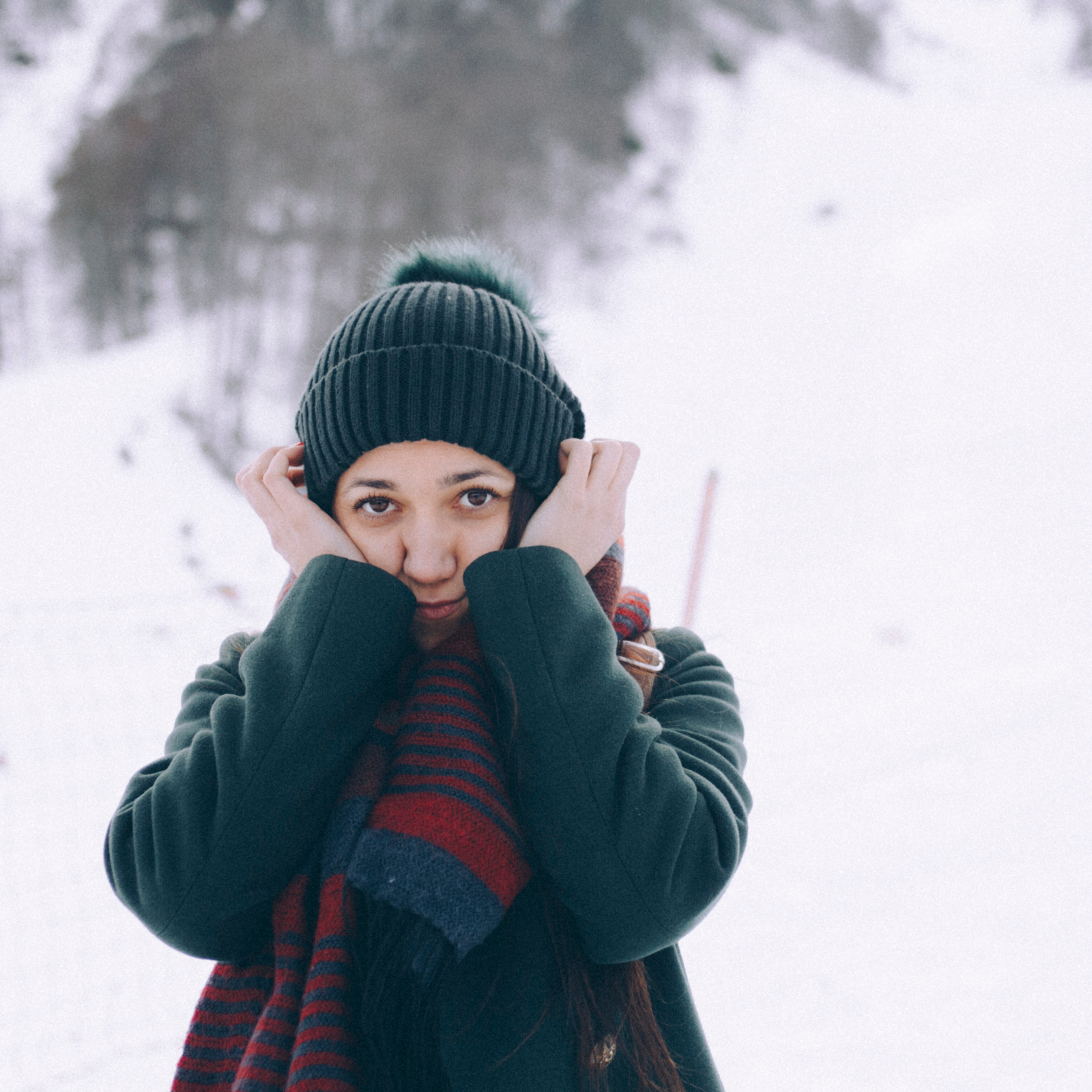 Сочи (декабрь 2017)