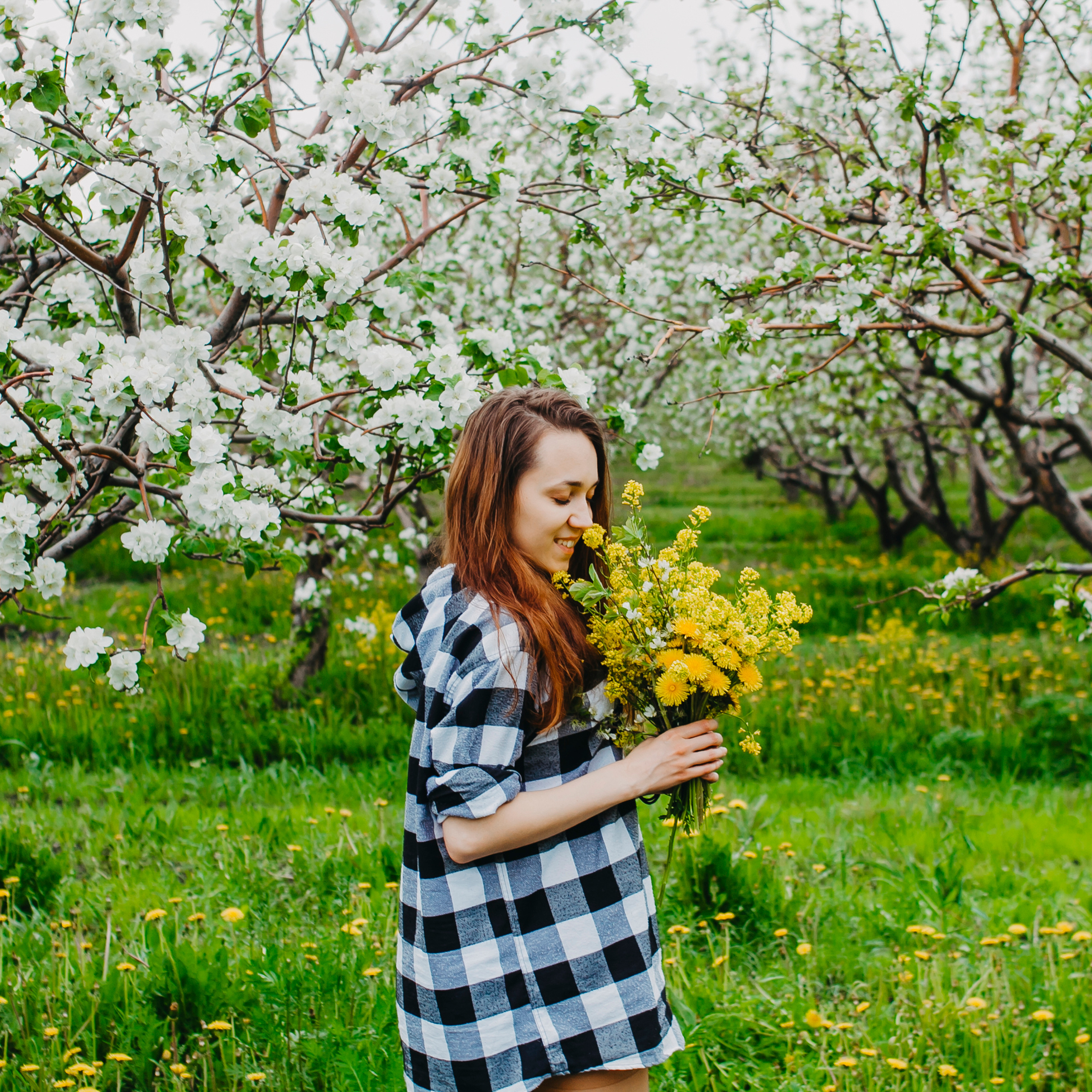Хвалынские яблоневые сады (май 2019)