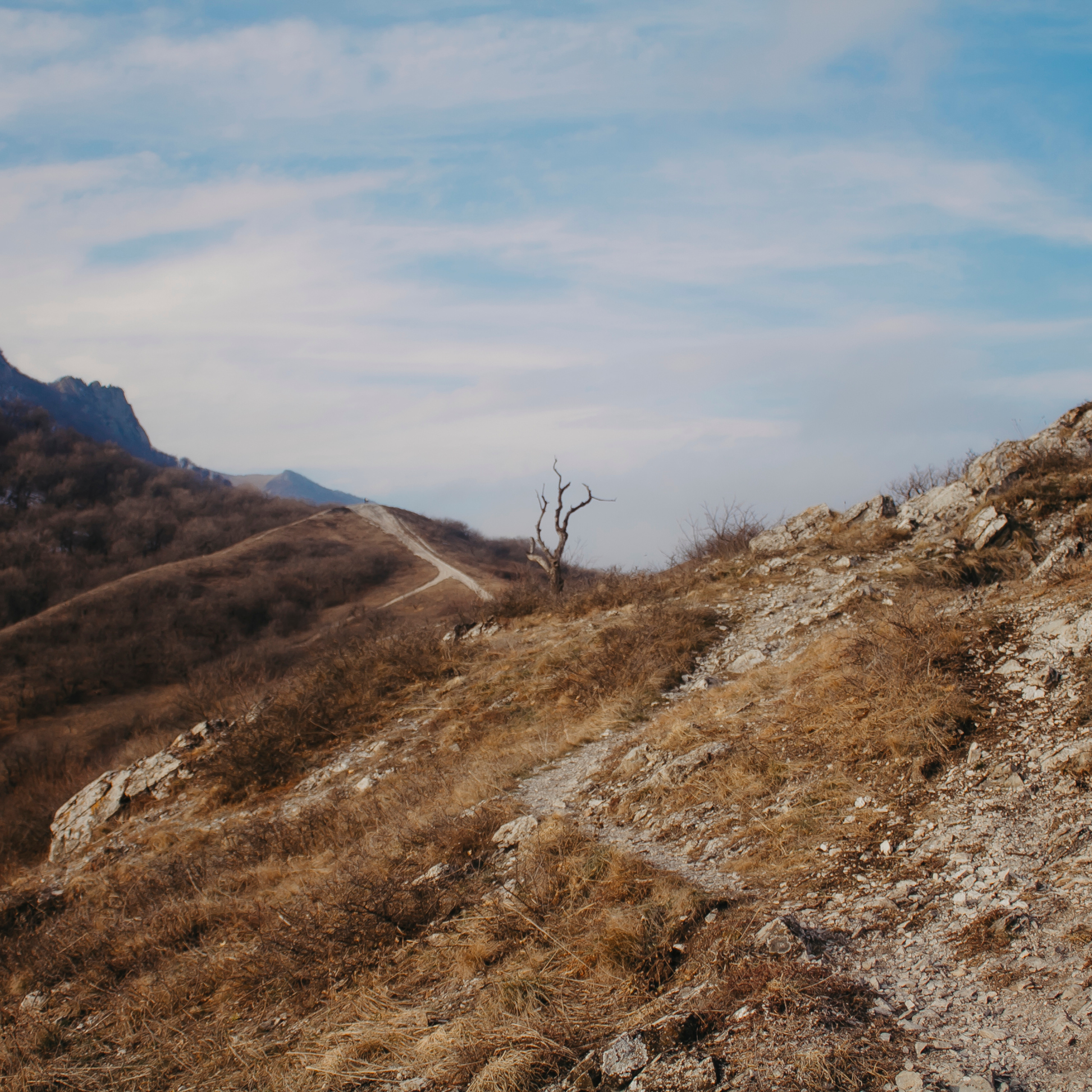 Мин воды (Новый год 2020)