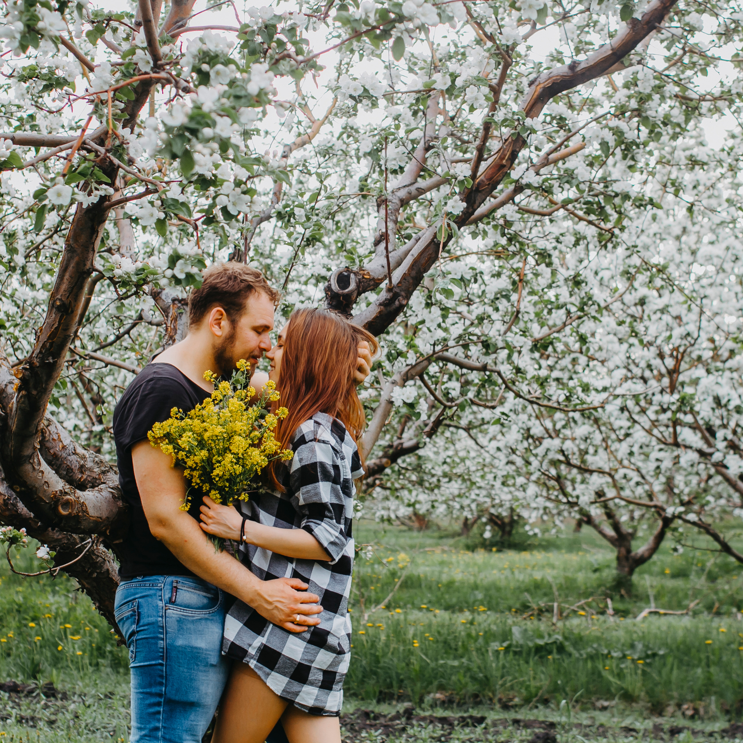 Хвалынские яблоневые сады (май 2019)