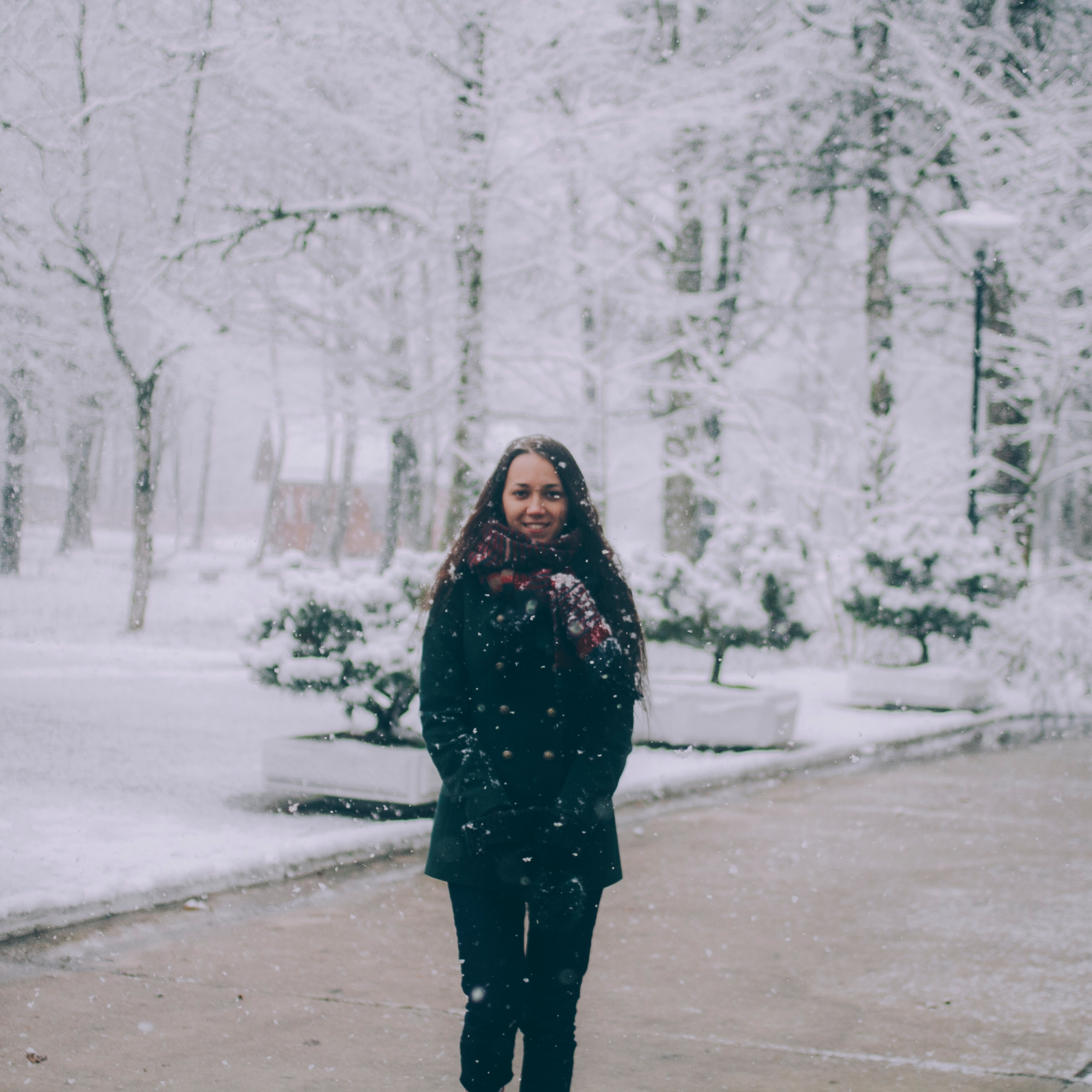 Сочи (декабрь 2017)