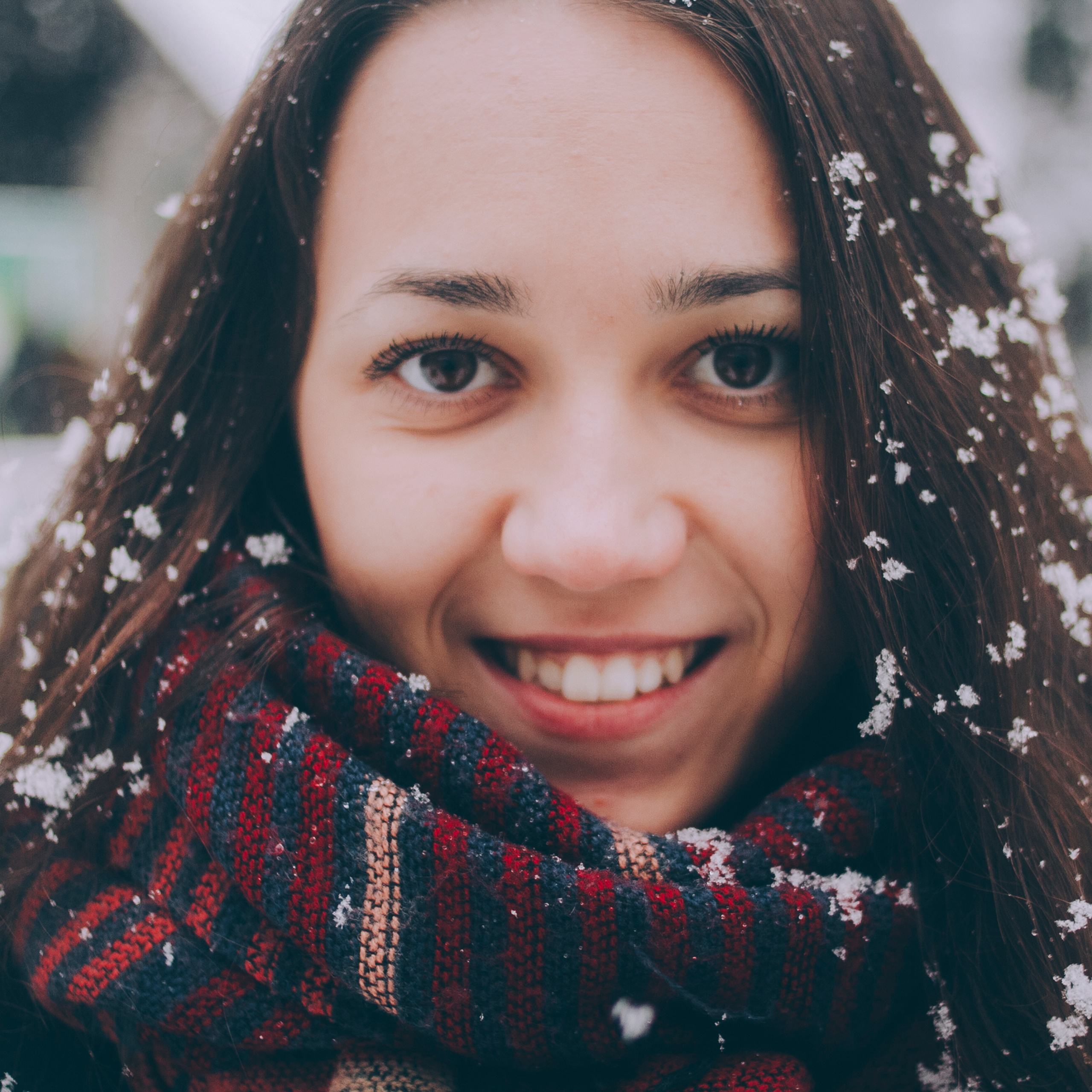 Сочи (декабрь 2017)