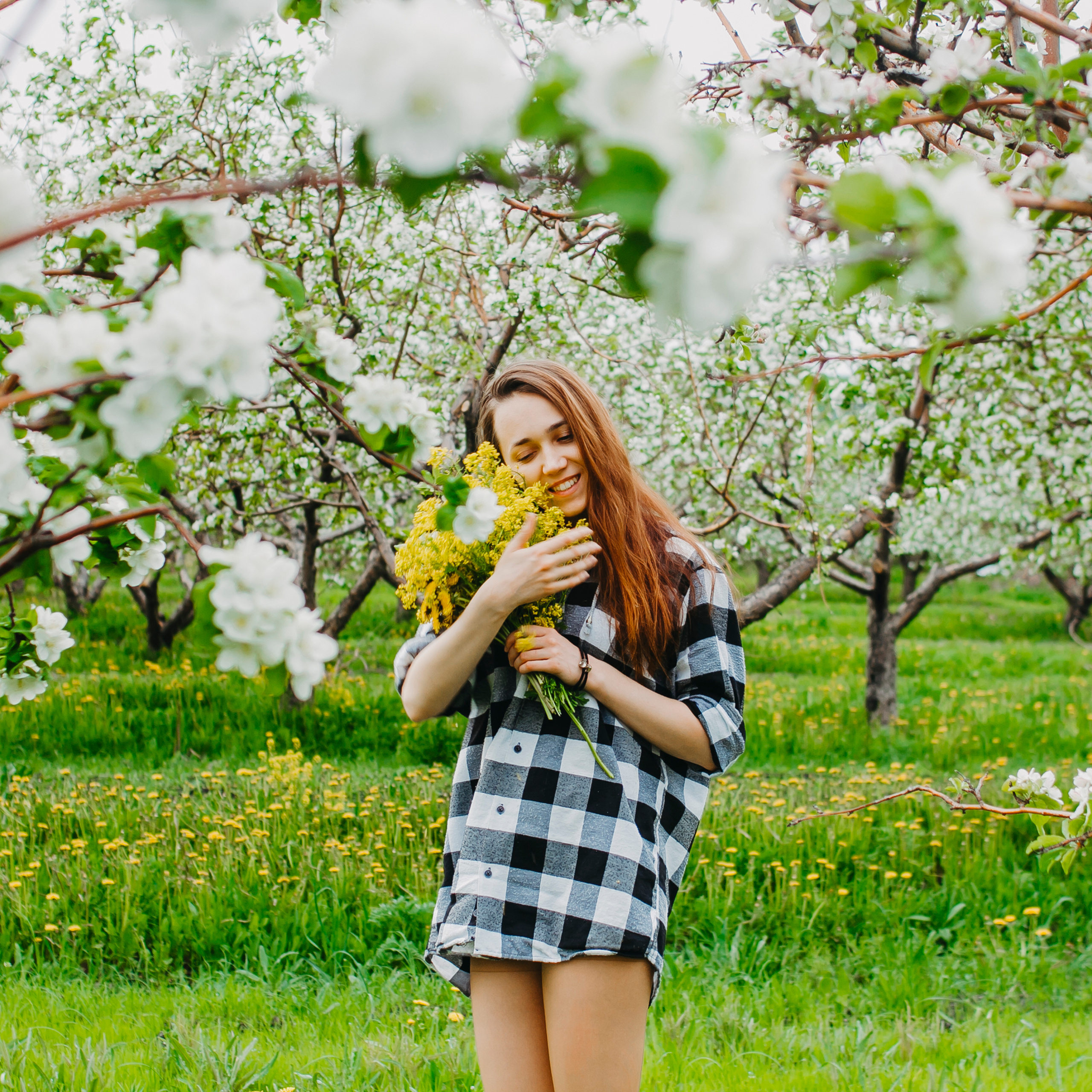 Хвалынские яблоневые сады (май 2019)