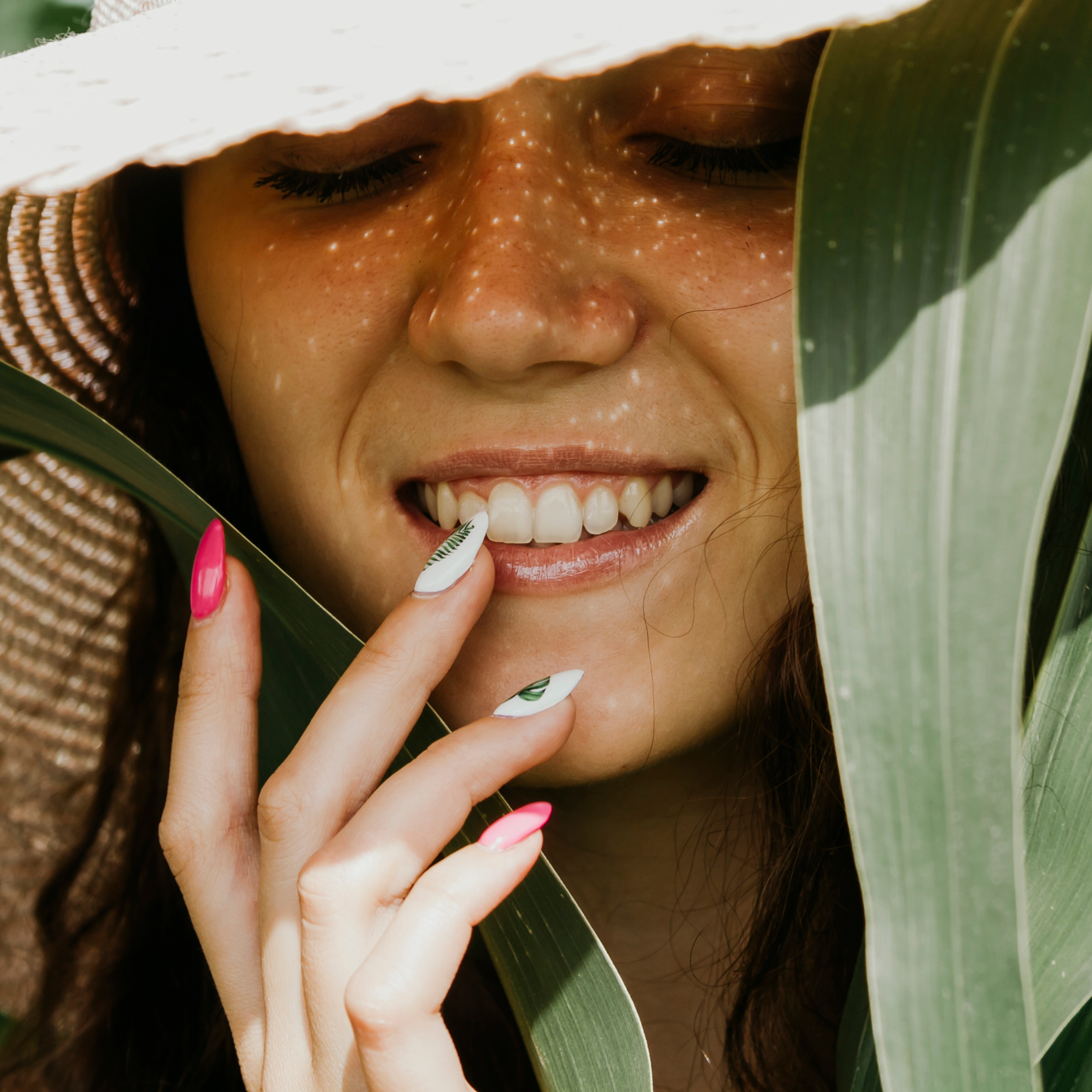 Кукурузные поля (август 2019)