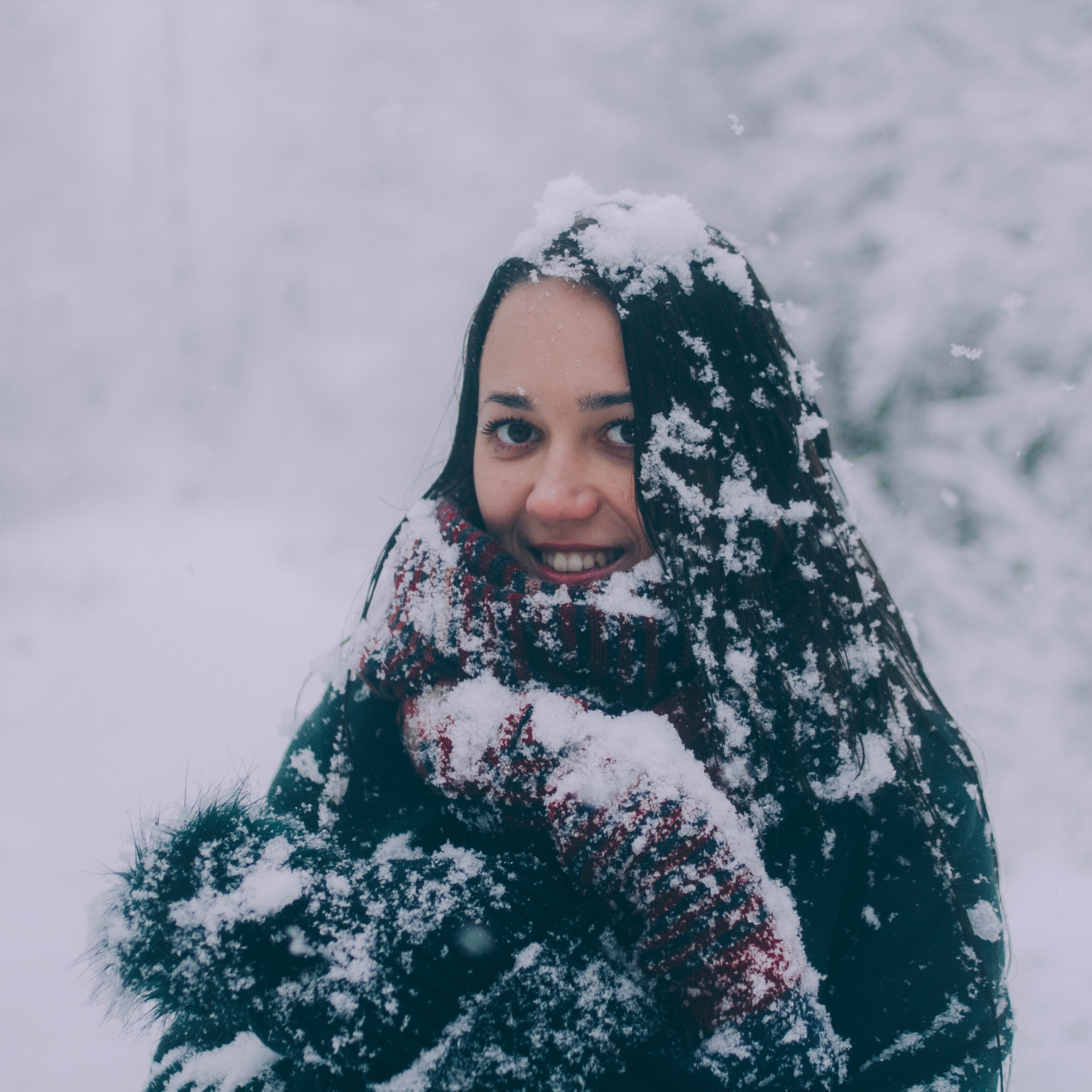 Сочи (декабрь 2017)