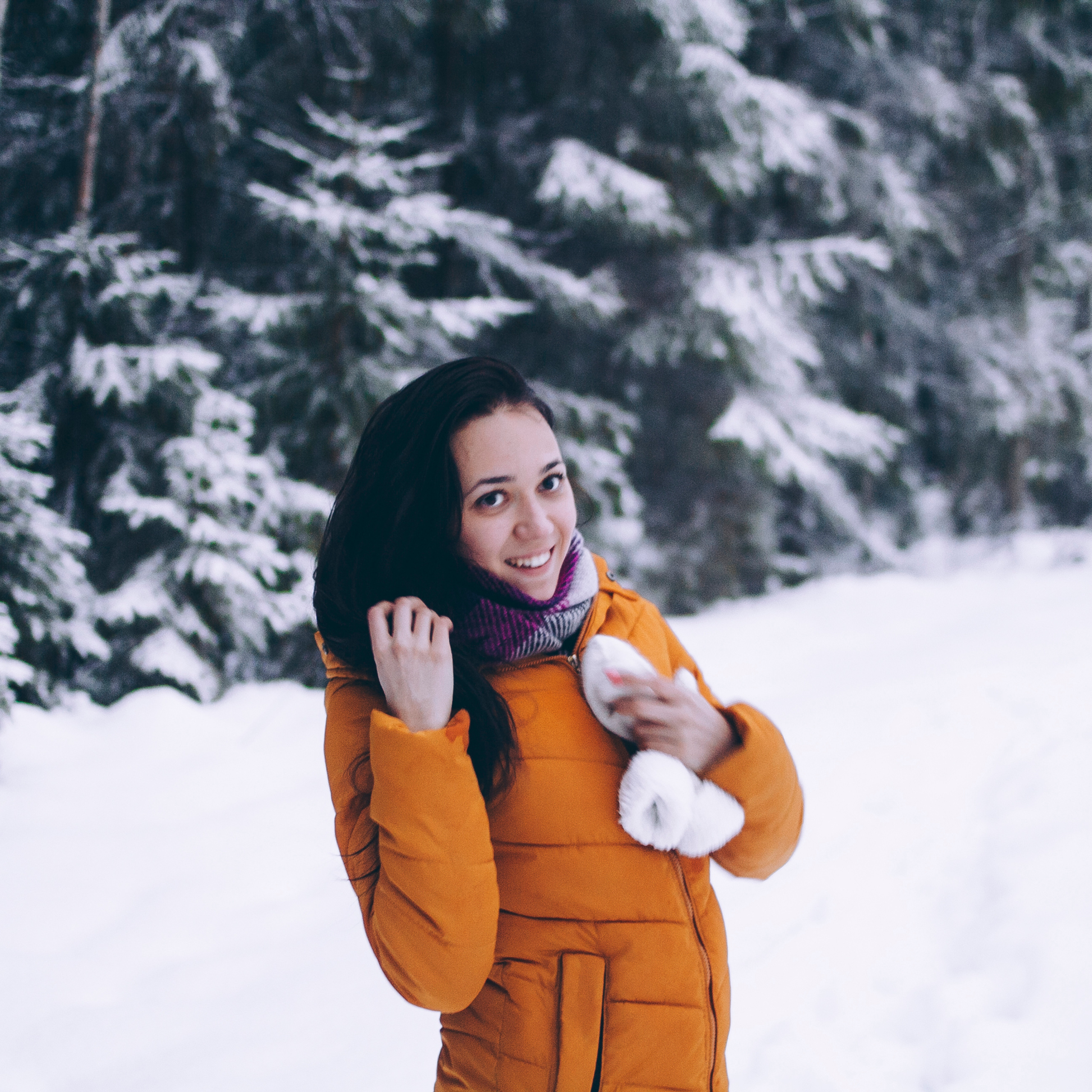 Финляндия (Новый год 2018)