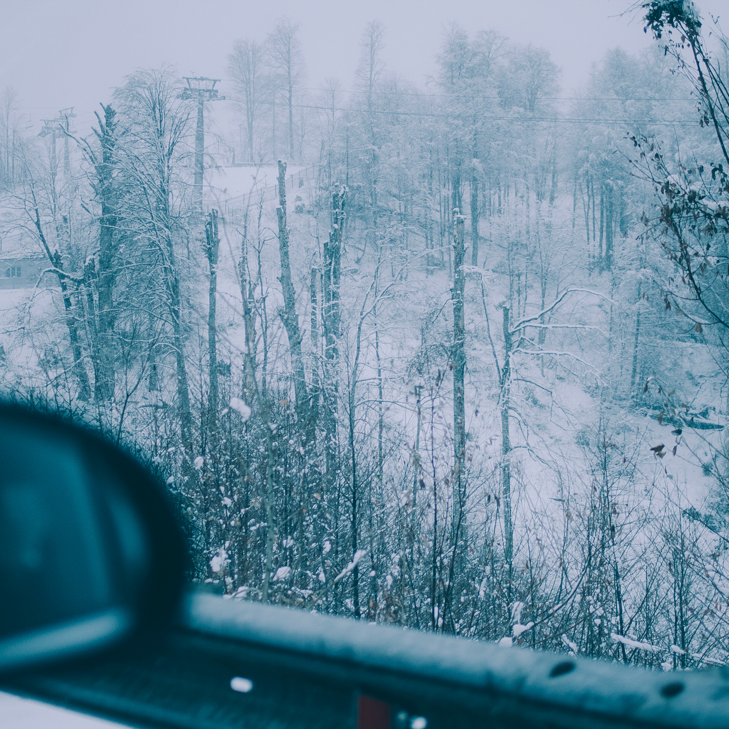 Сочи (декабрь 2017)