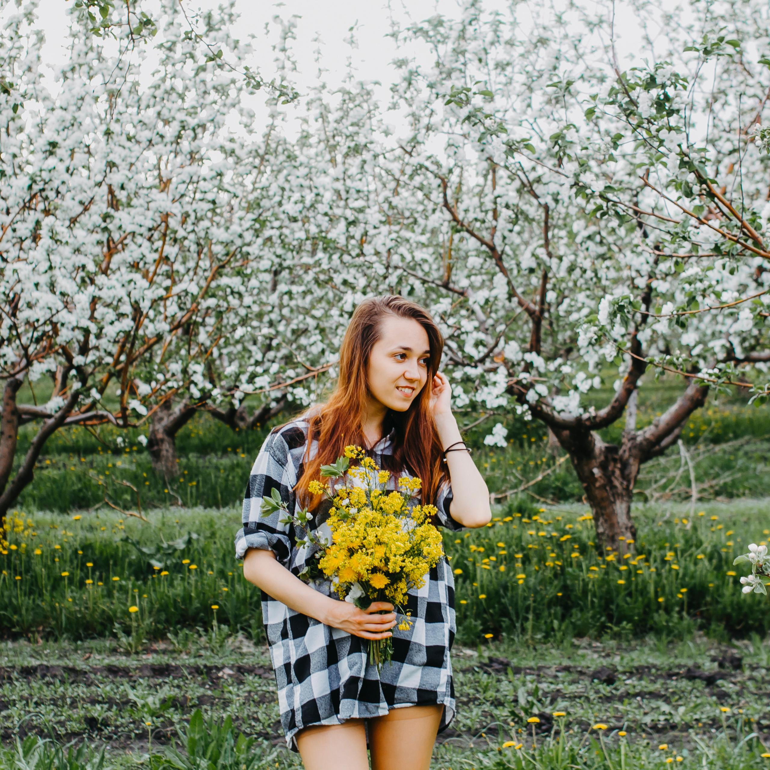 Хвалынские яблоневые сады (май 2019)