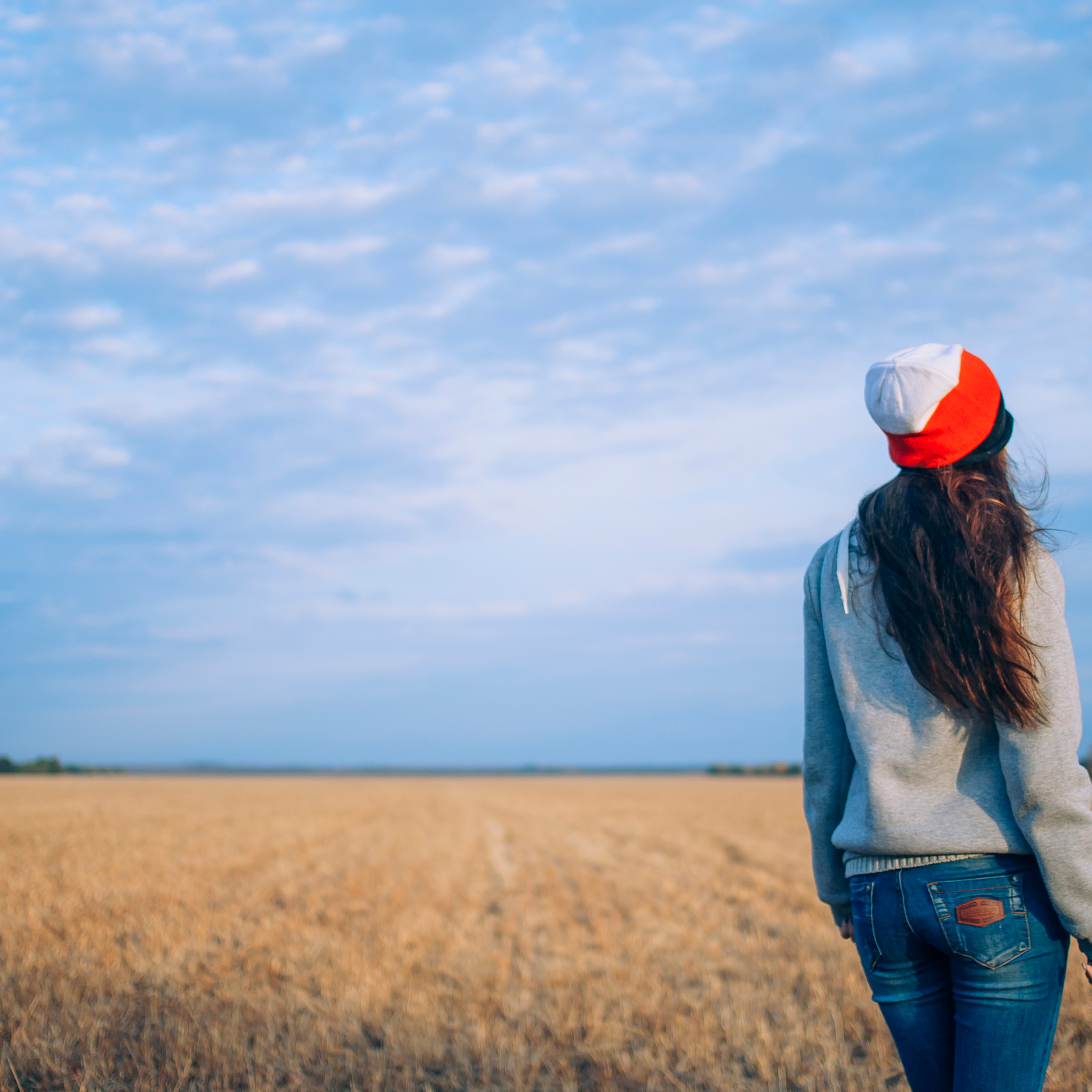Поле у АЭС Балаково (октябрь 2018)