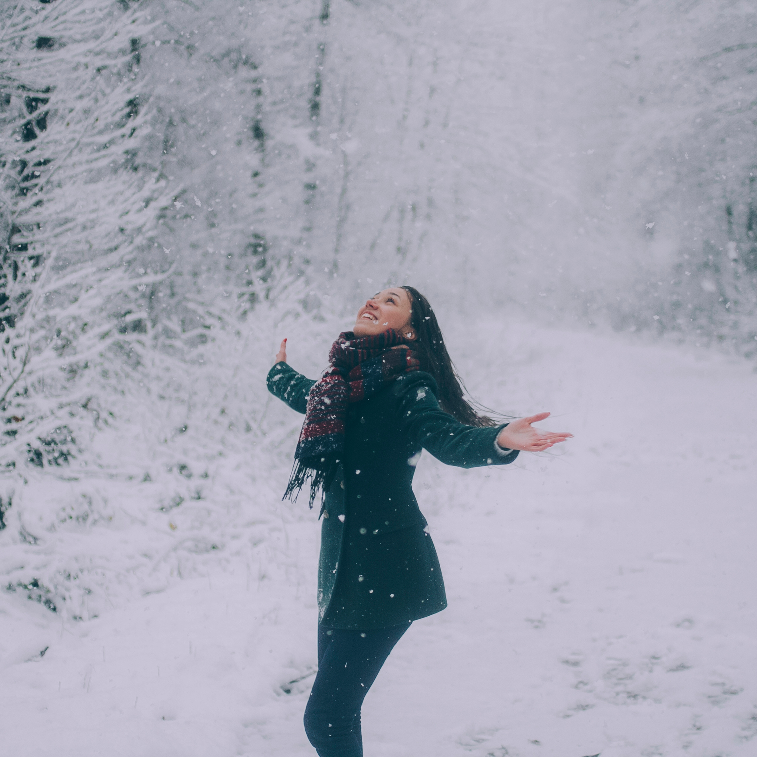 Сочи (декабрь 2017)