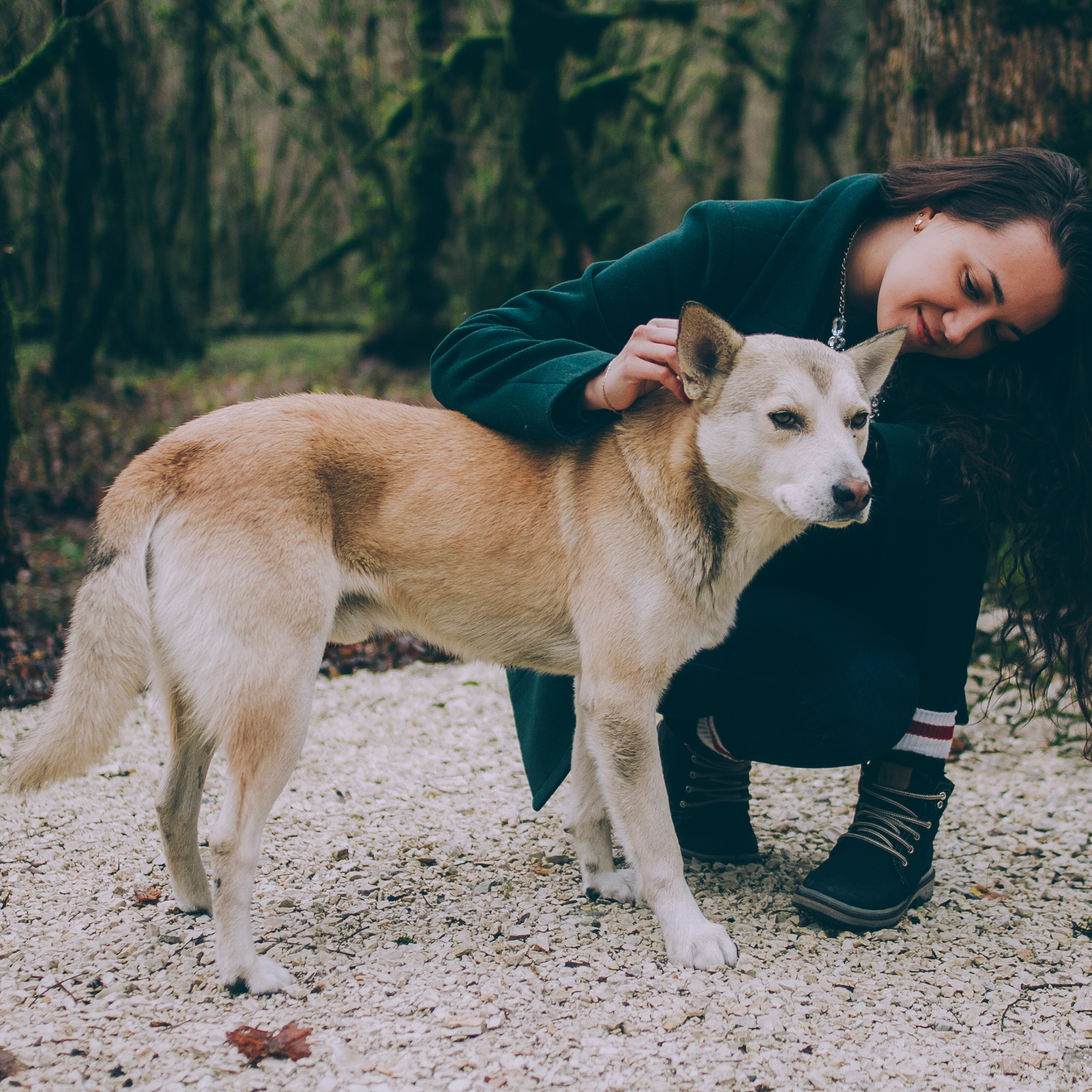 Сочи (декабрь 2017)