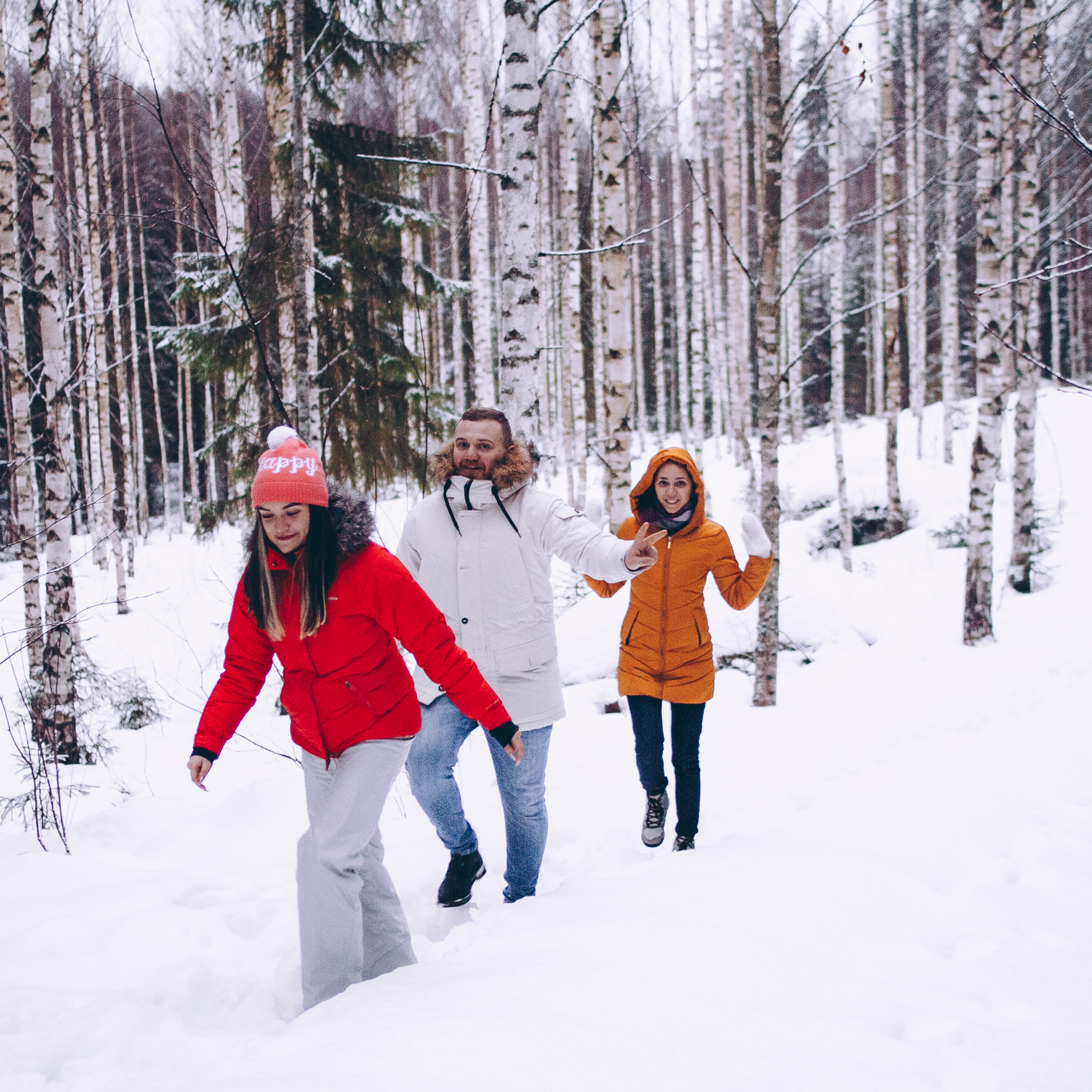 Финляндия (Новый год 2018)