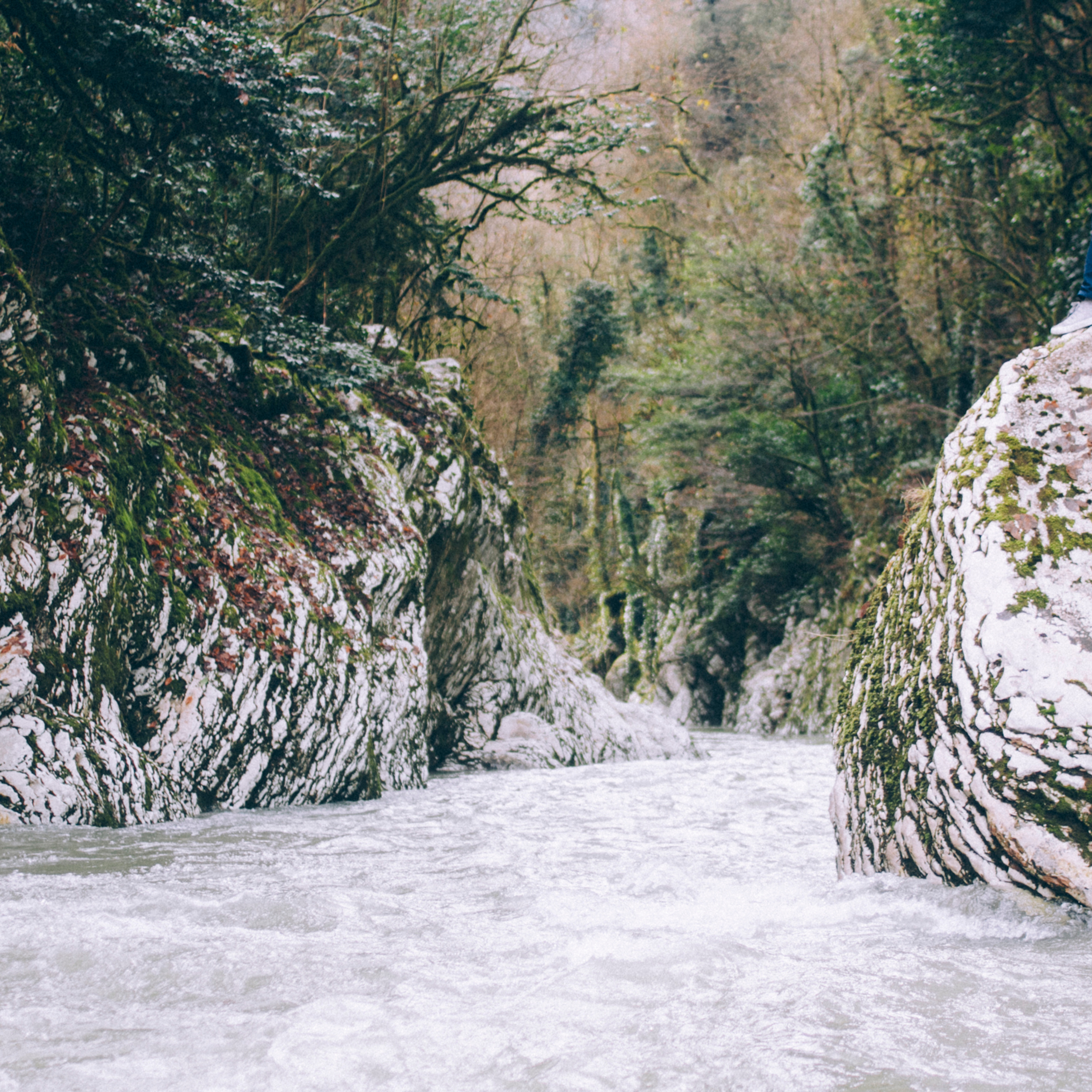 Сочи (декабрь 2017)
