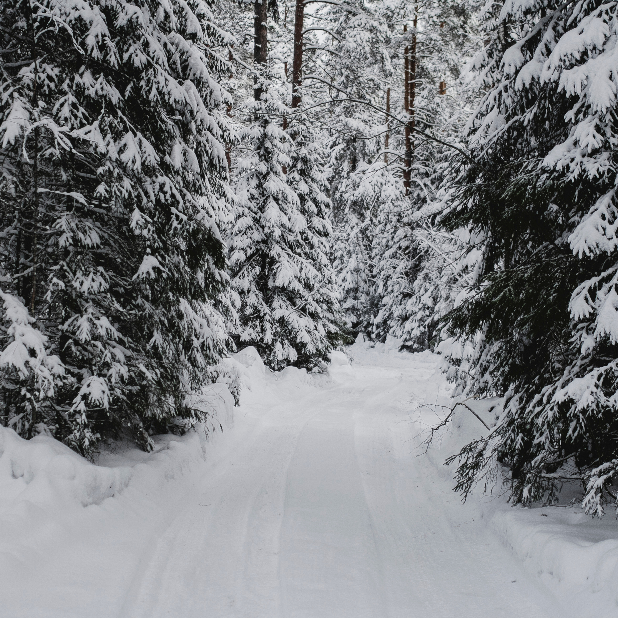 Рускеала Карелия (февраль 2018)