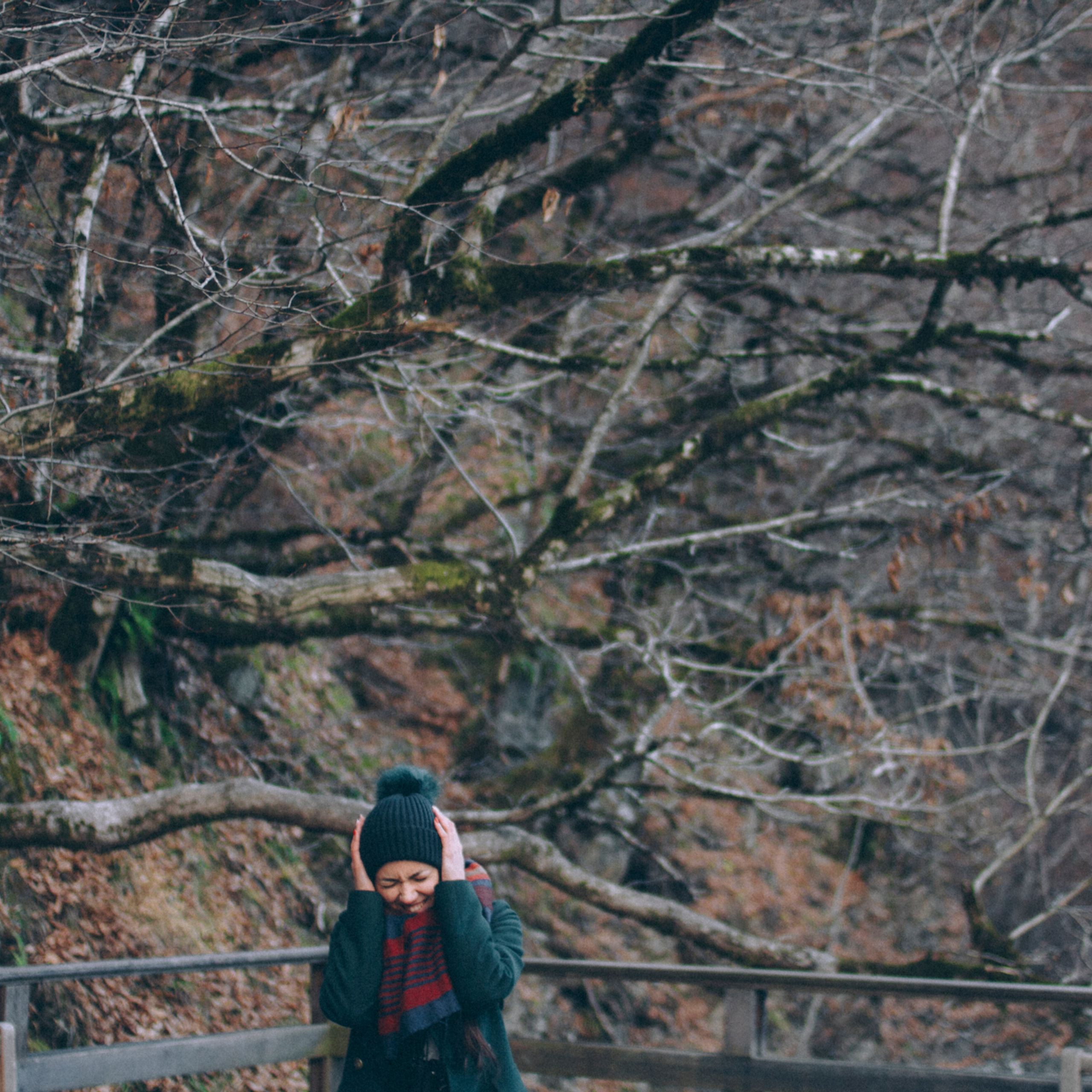 Сочи (декабрь 2017)