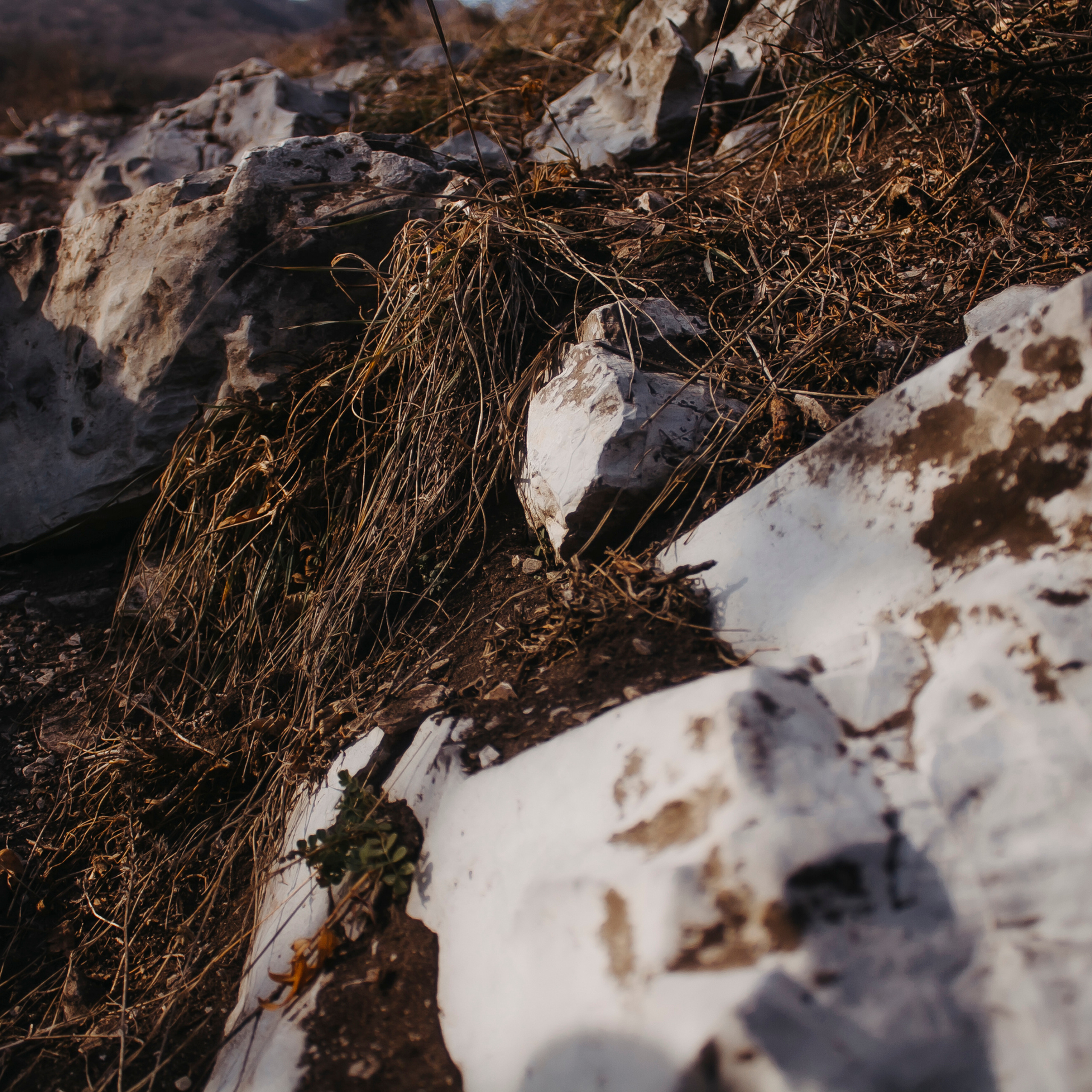 Мин воды (Новый год 2020)