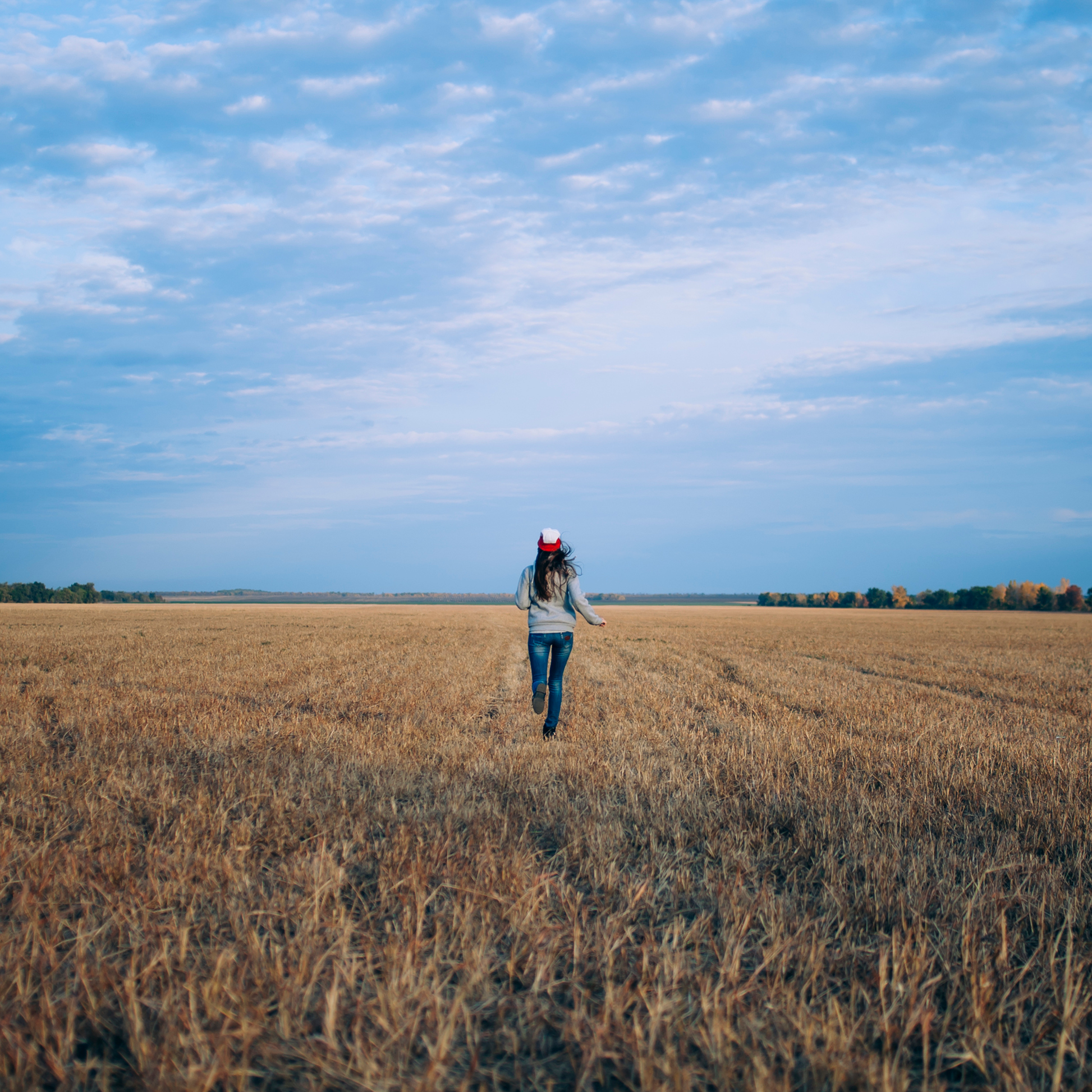 Поле у АЭС Балаково (октябрь 2018)