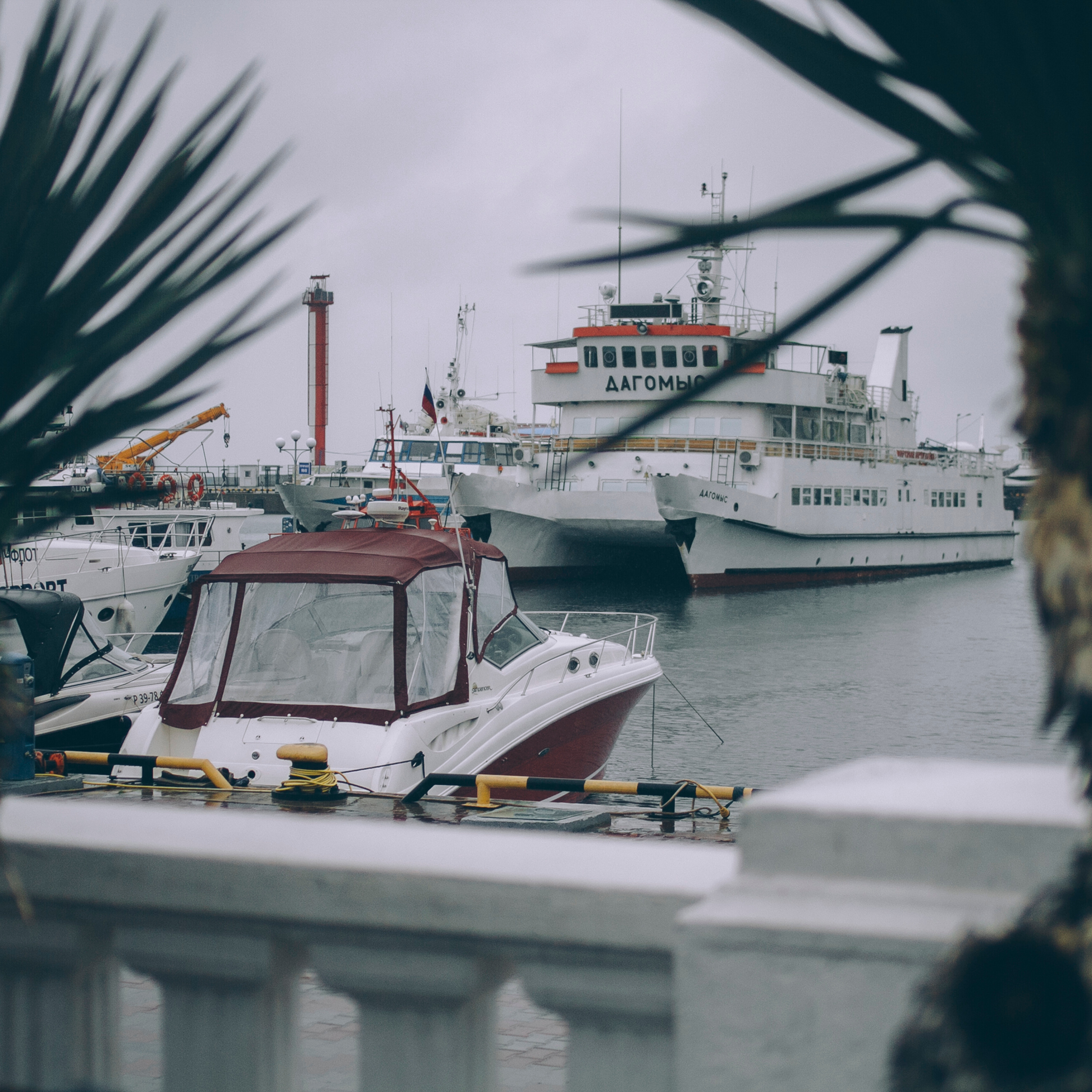 Сочи (декабрь 2017)