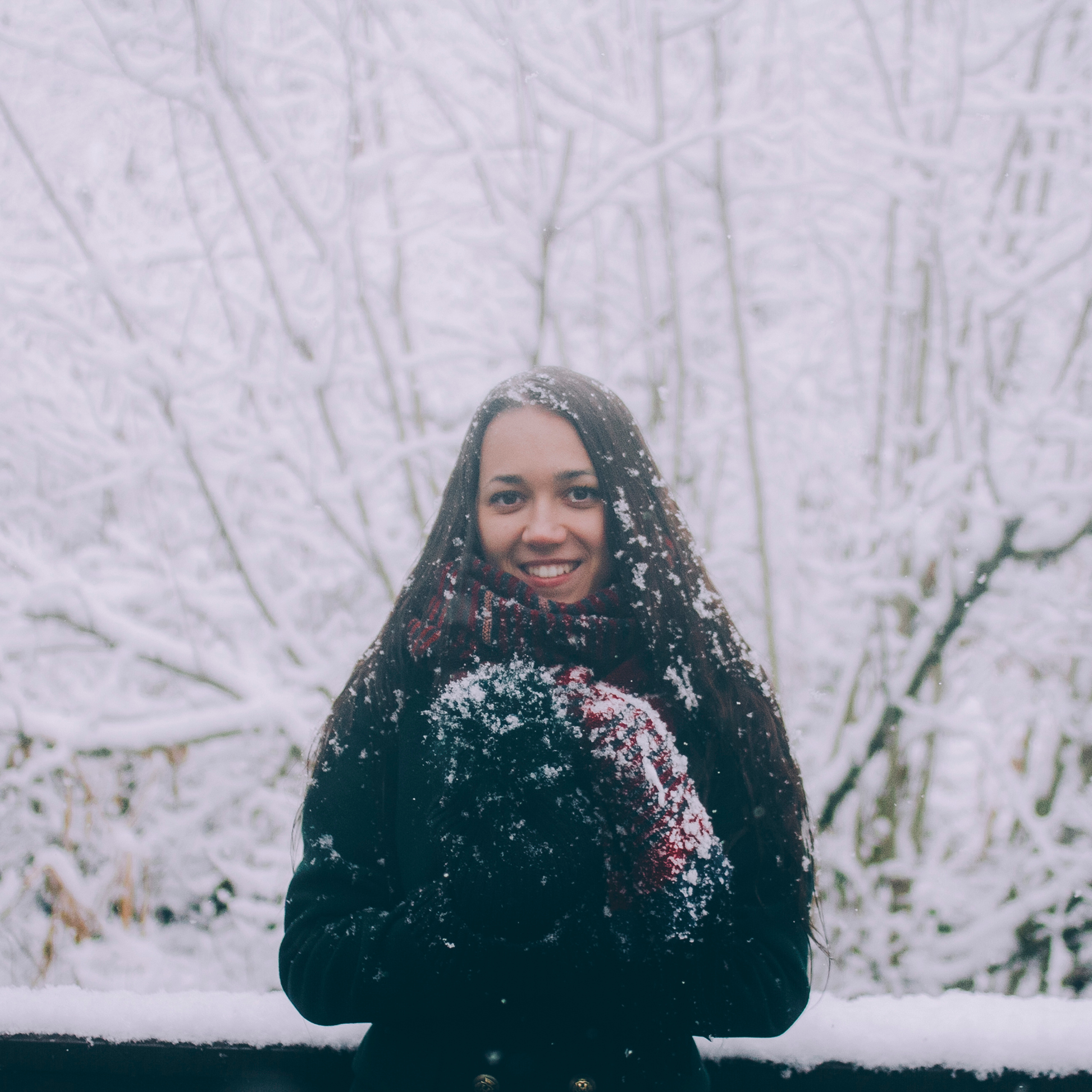 Сочи (декабрь 2017)